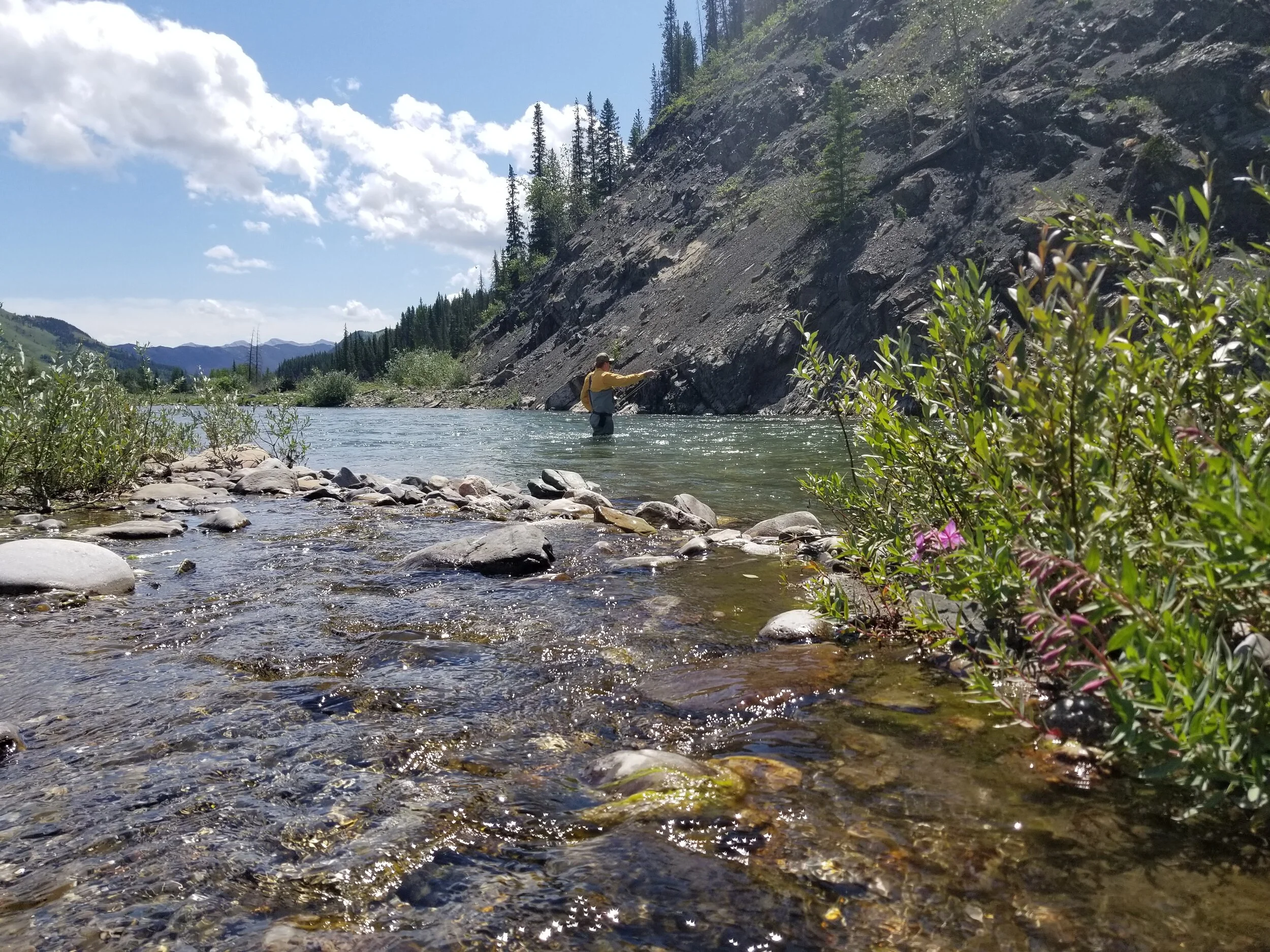 Canmore Fishing Adventures – boat trips on the Bow River from Banff to ...