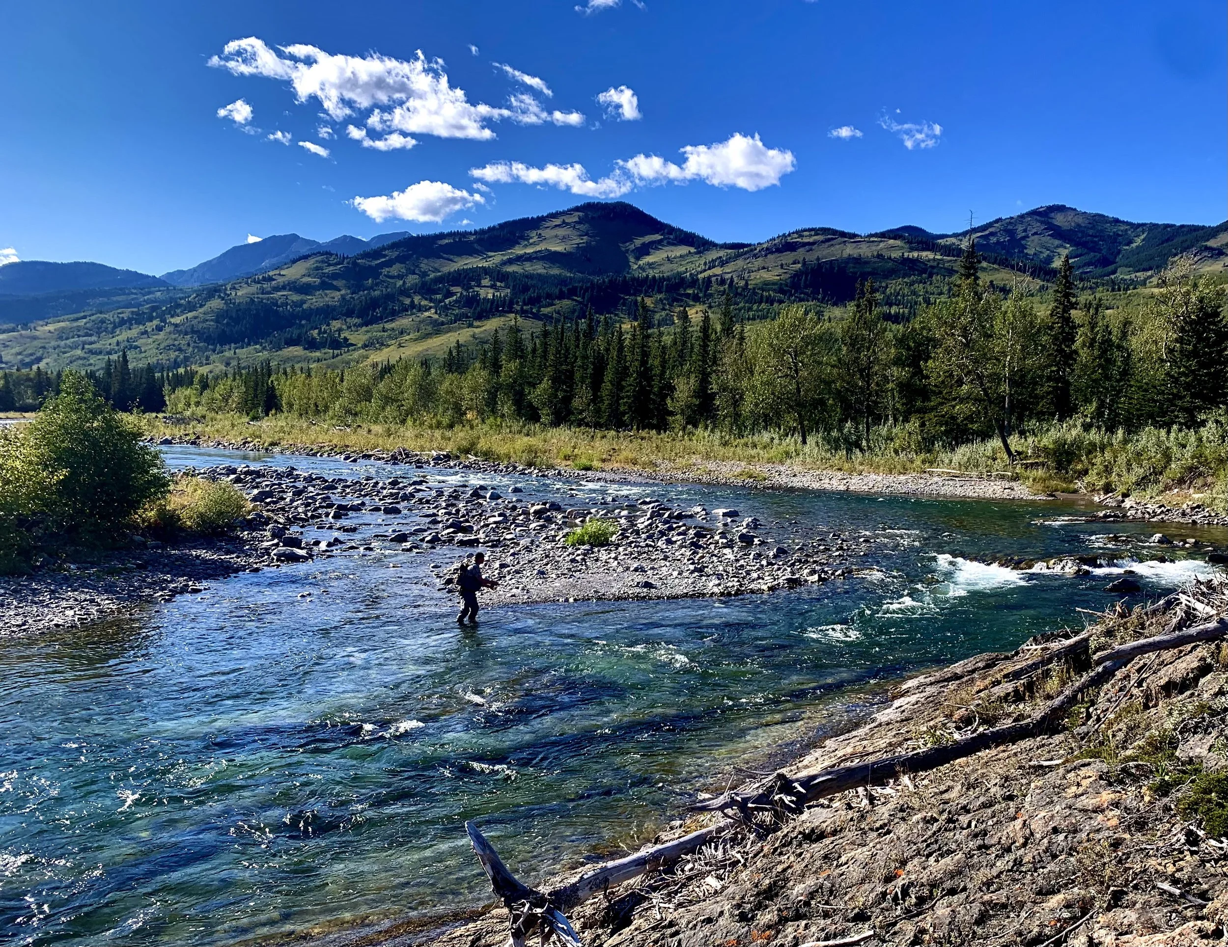Canmore Fishing Adventures – boat trips on the Bow River from Banff to ...
