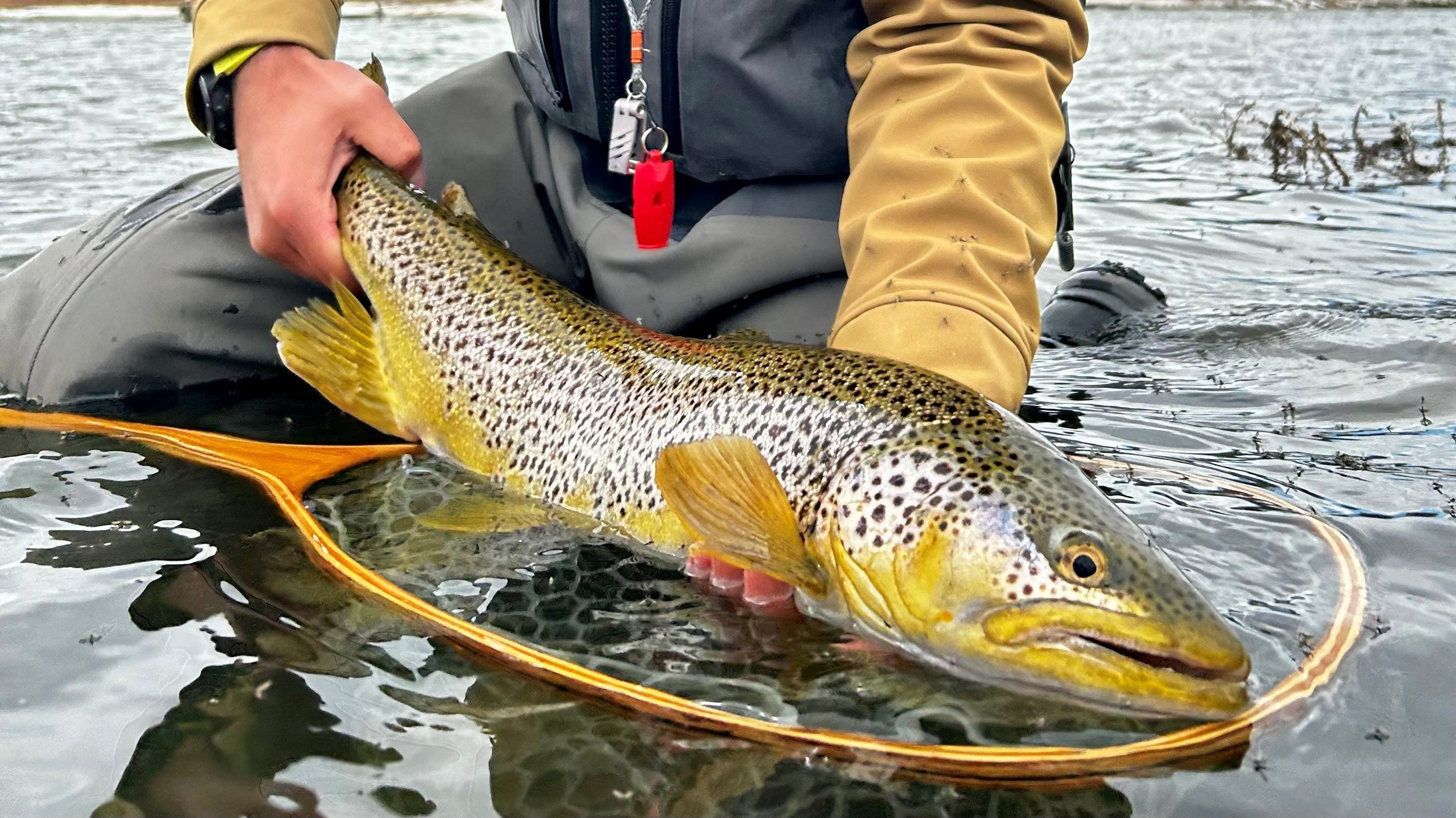 Lower Bow – Float trips — Canmore Fishing Adventures – boat trips on the  Bow River from Banff to Calgary, Alberta