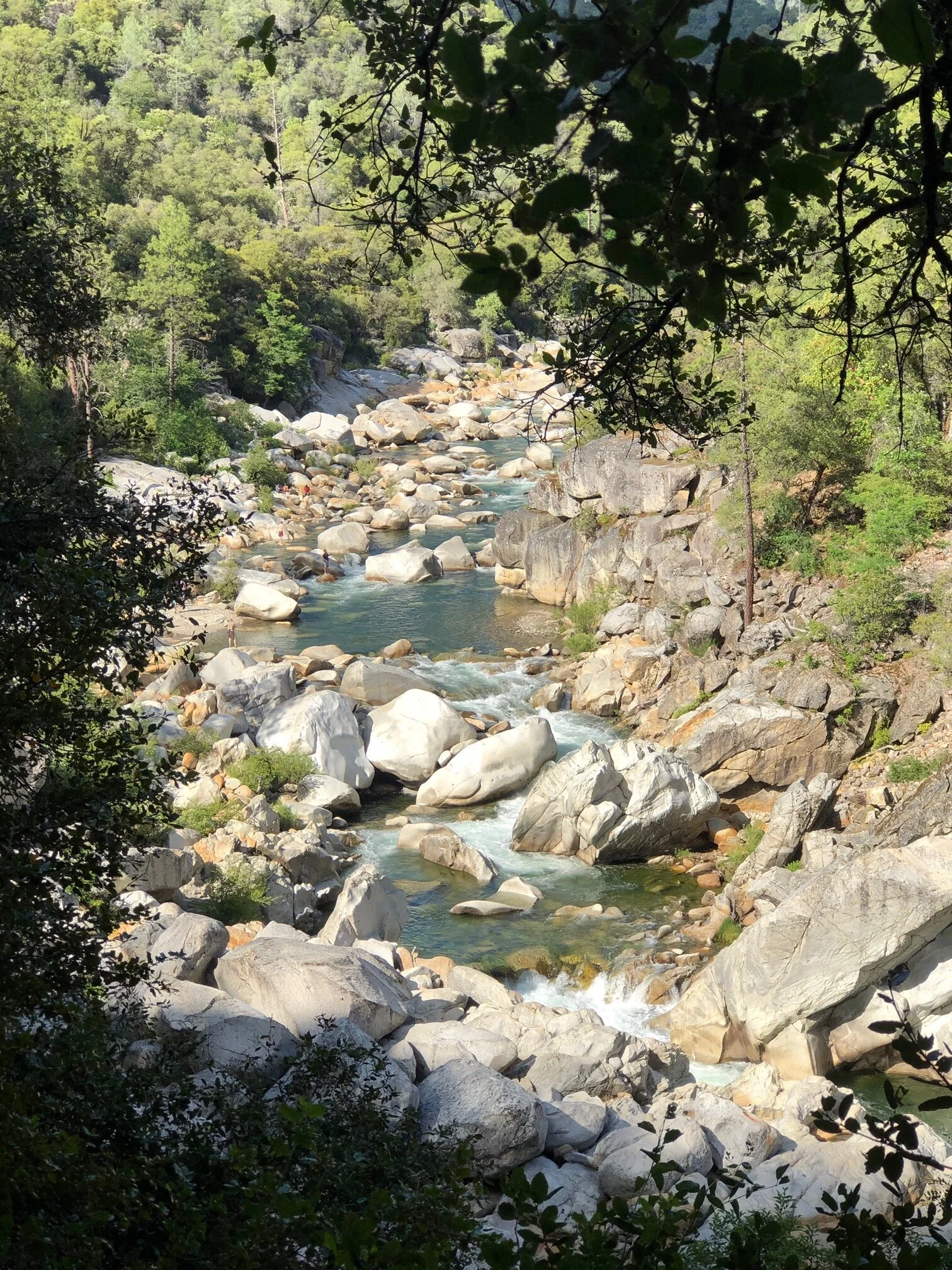 Nature's Beauty