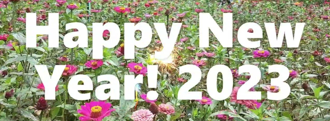 Happy New Year!