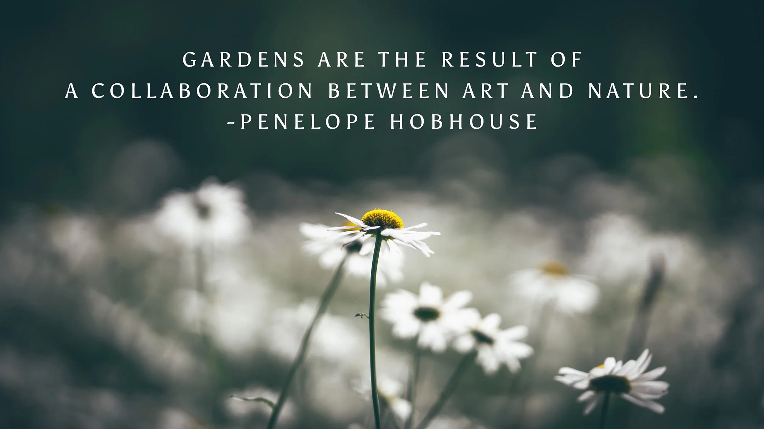 Gardens are...