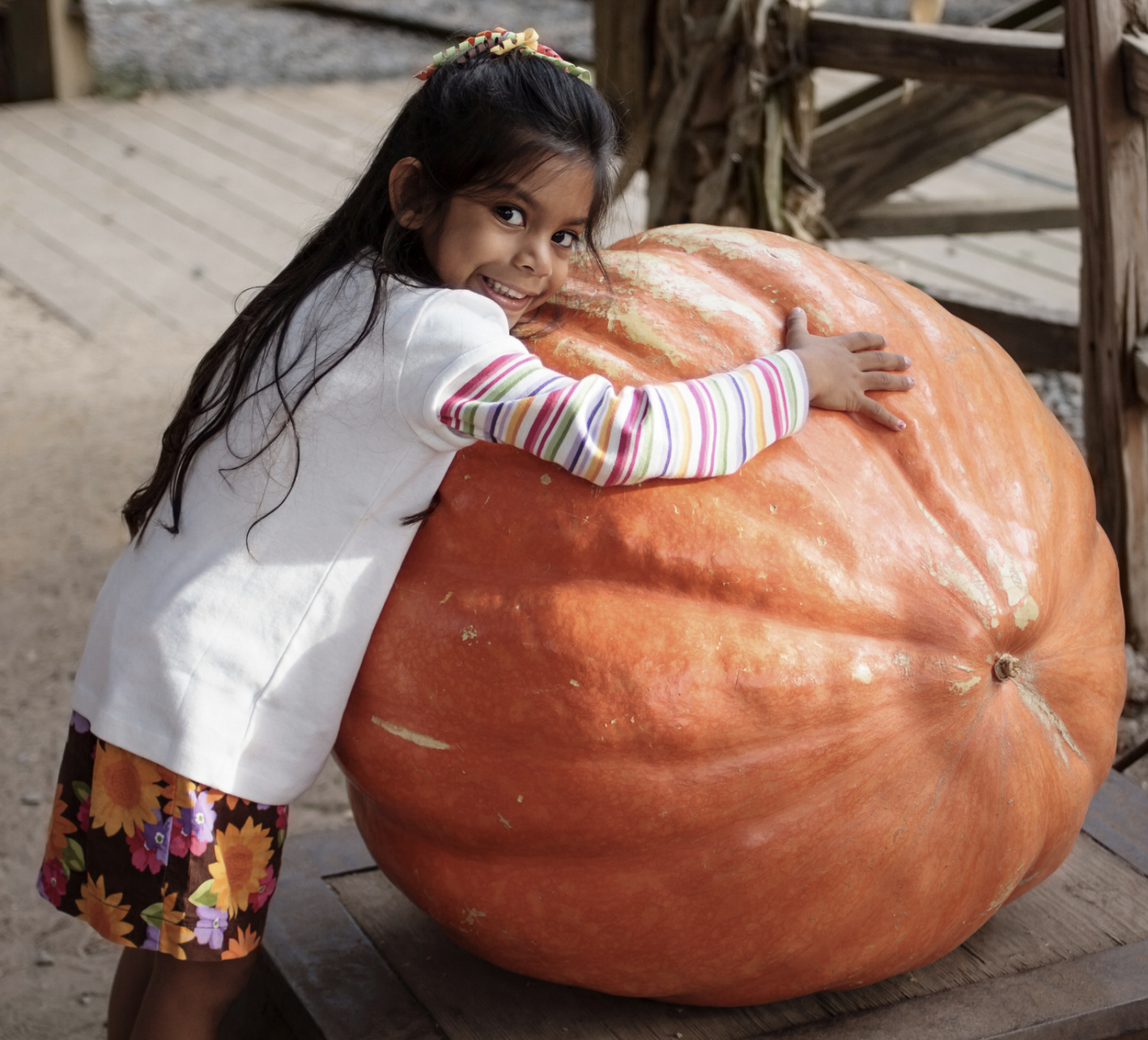 Add-On Grand Prize Pumpkin