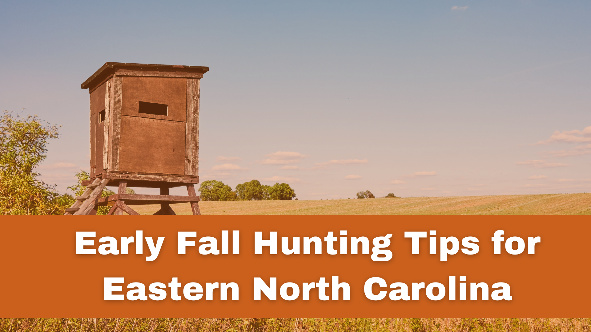 Early Fall hunting tips for Eastern north carolina — Knights Taxidermy