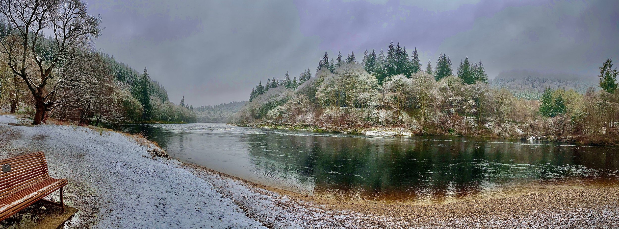 Thistle_ChristmasSpecial_RiverTay (Photo by T.Hiliard).jpg