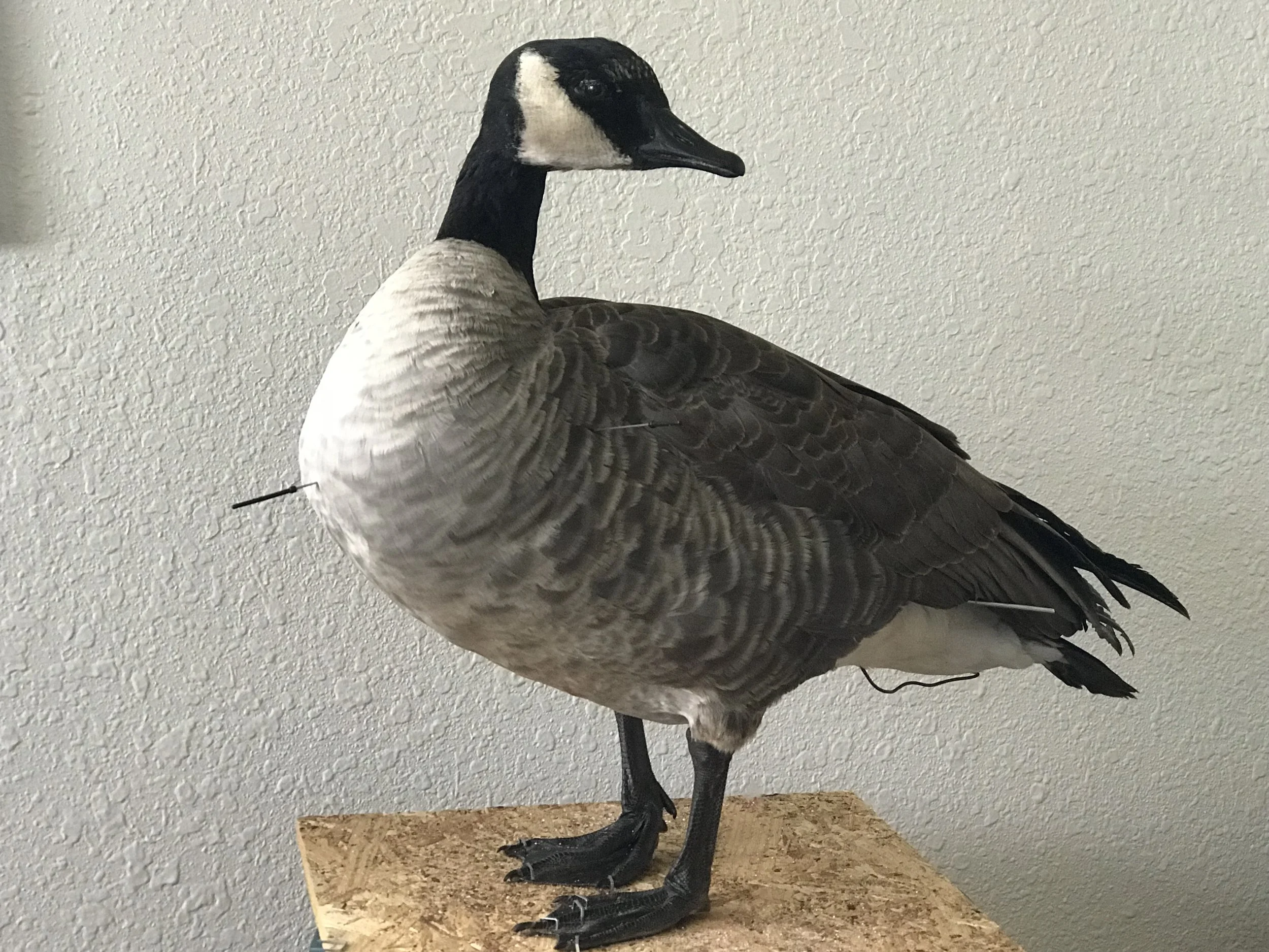 Split Reed Goose Mikes Goose Stuffer 'Recipe' - Split Reed