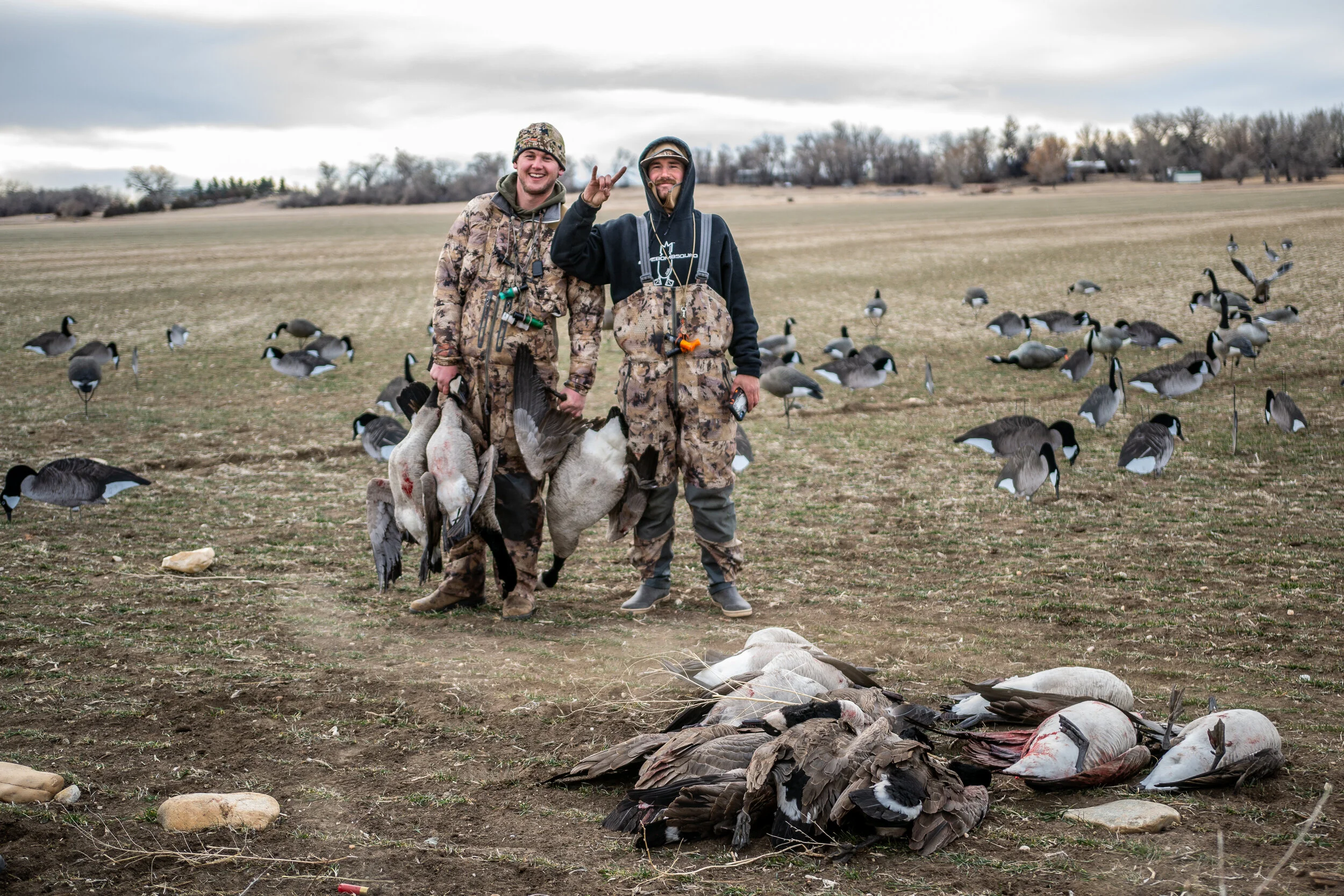 Roost Hunting, it's Taboo | Split Reed