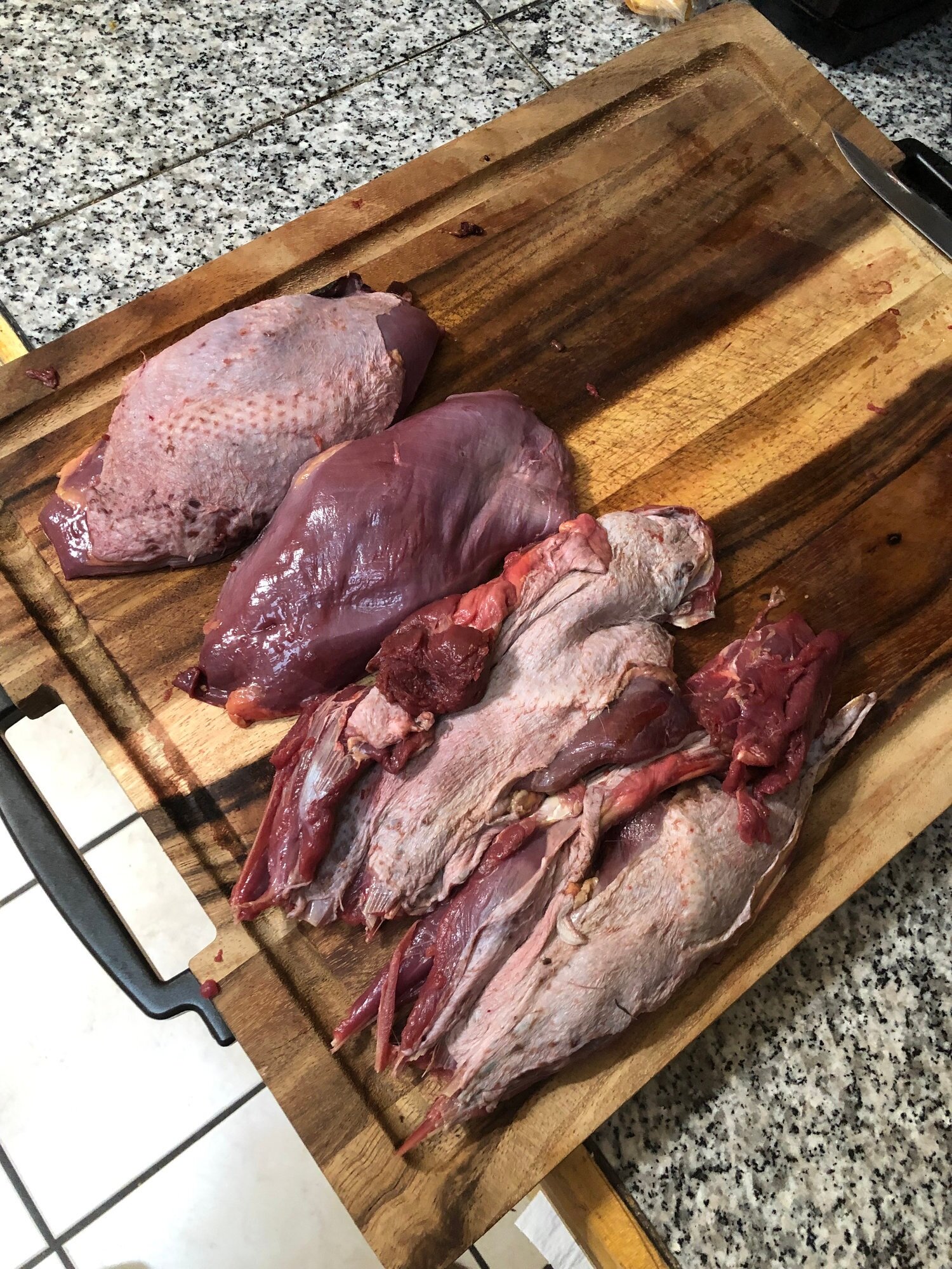  Never-mind the legs/thighs on the right, they look funny but with a little work and some slow cooking they’re a whole lot like turkey legs. But they aren’t the focus of this article. The breasts are great for one adult each and taste like a mixture 