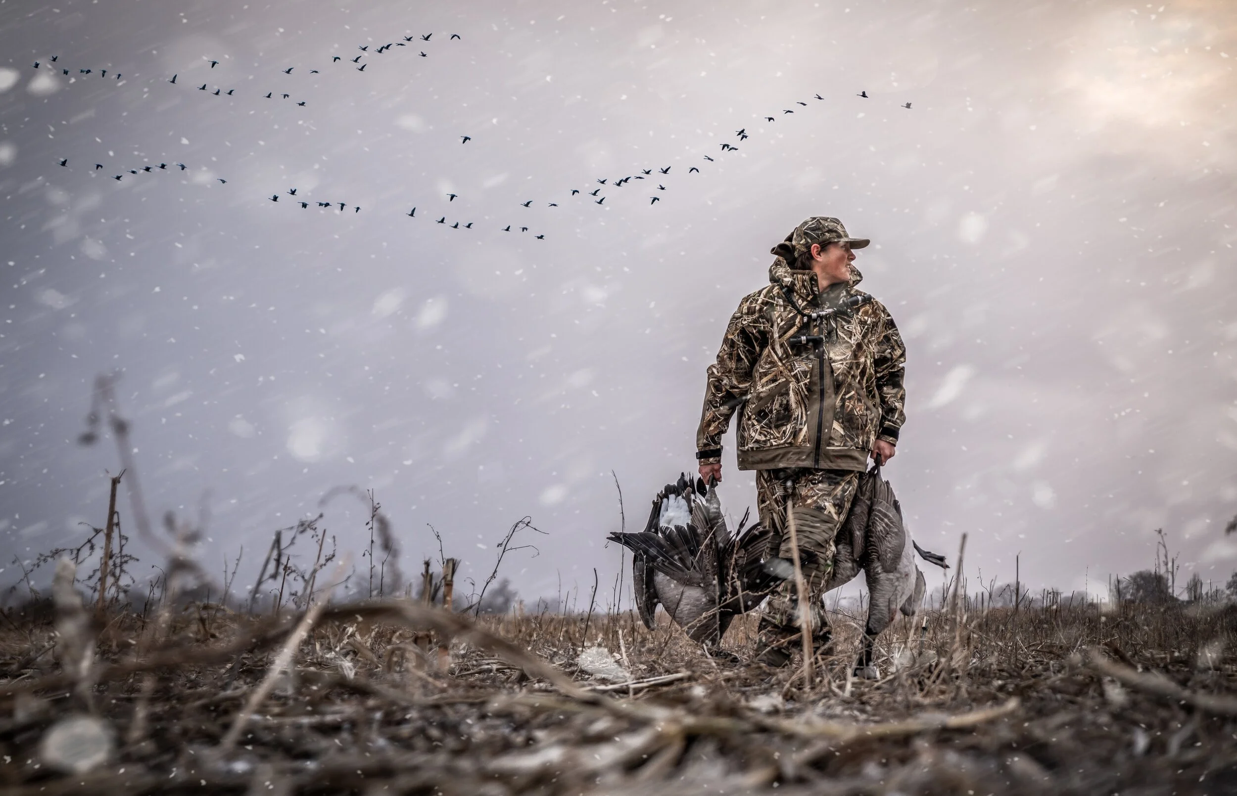 7 Tips for Better Waterfowl Photos - Split Reed