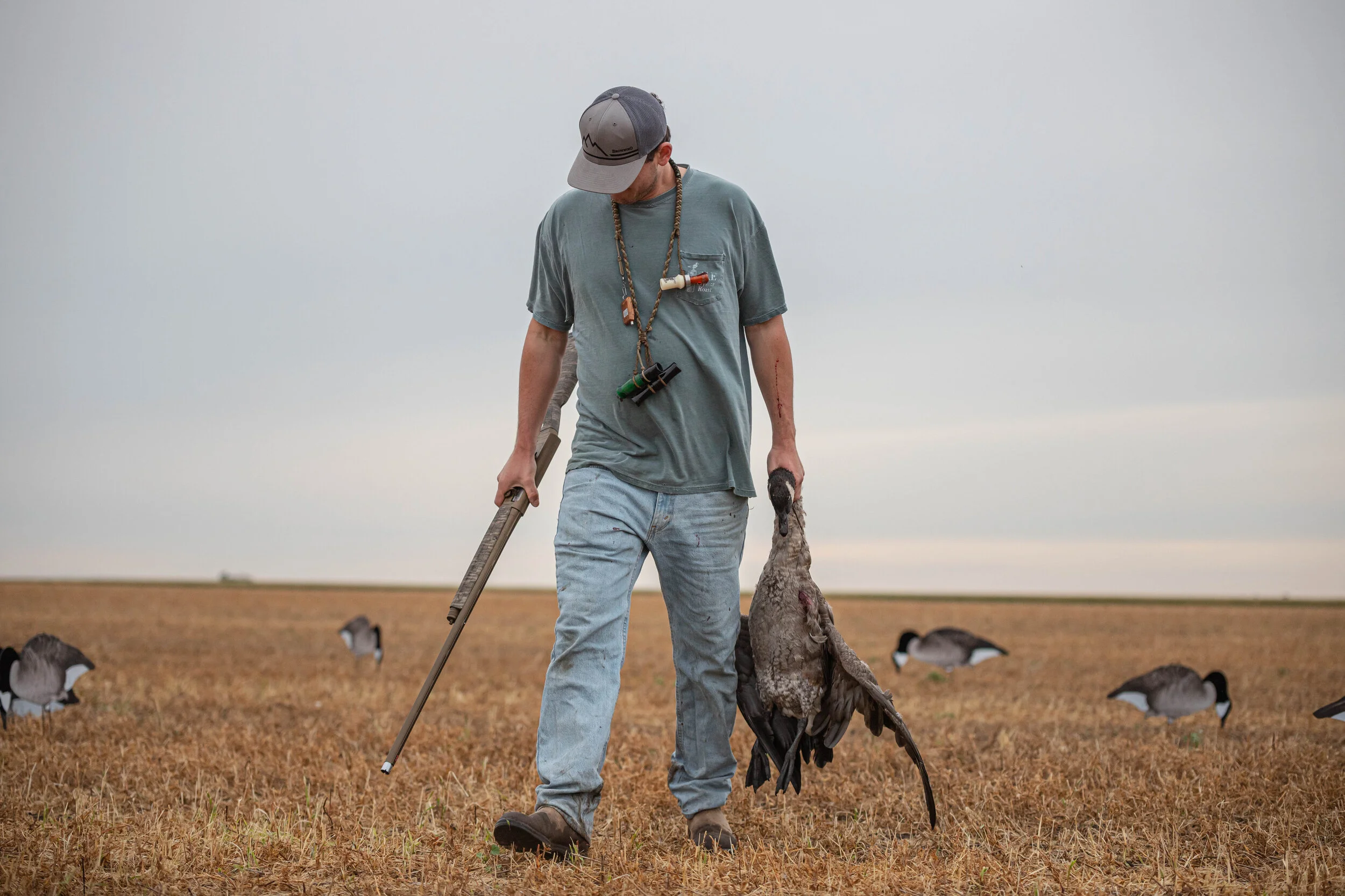 Split Reed Goose From Eggshells to Philly in 10 Weeks; Early Goose Cheesesteaks - Split Reed