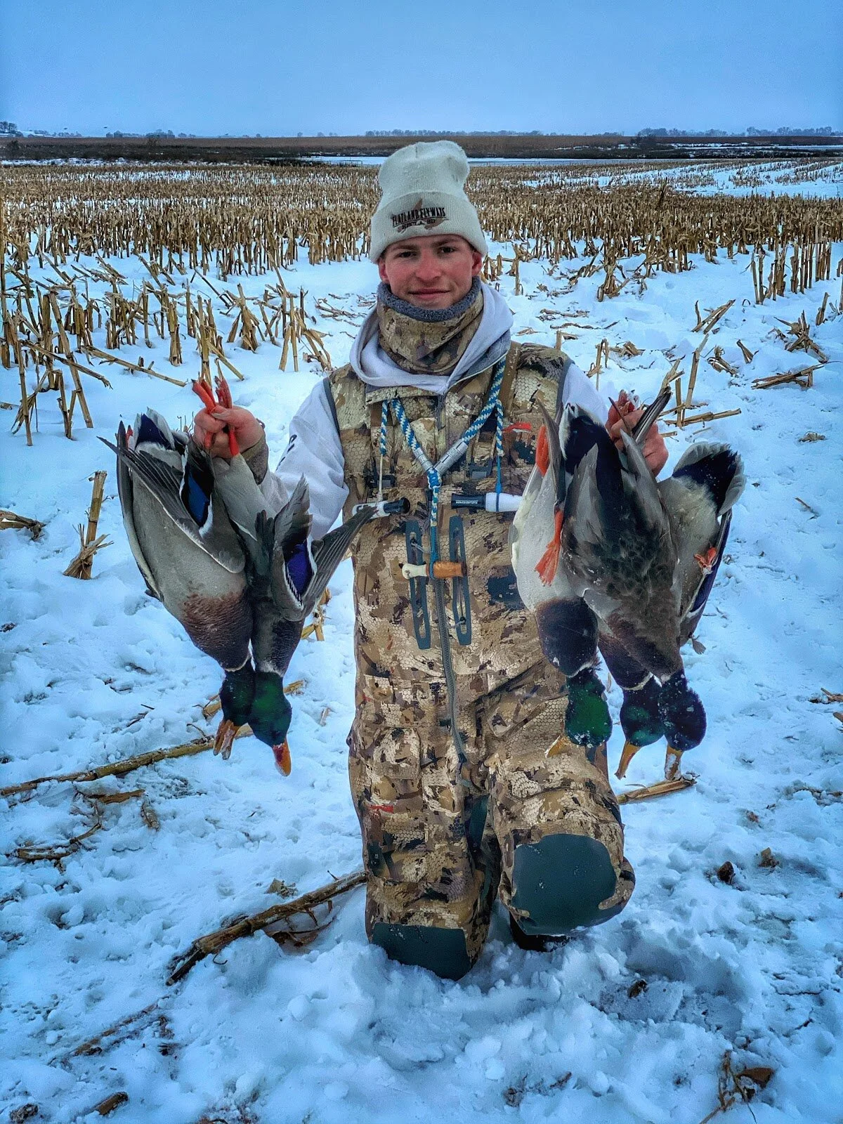 Guide Life Nich Glatt Split Reed