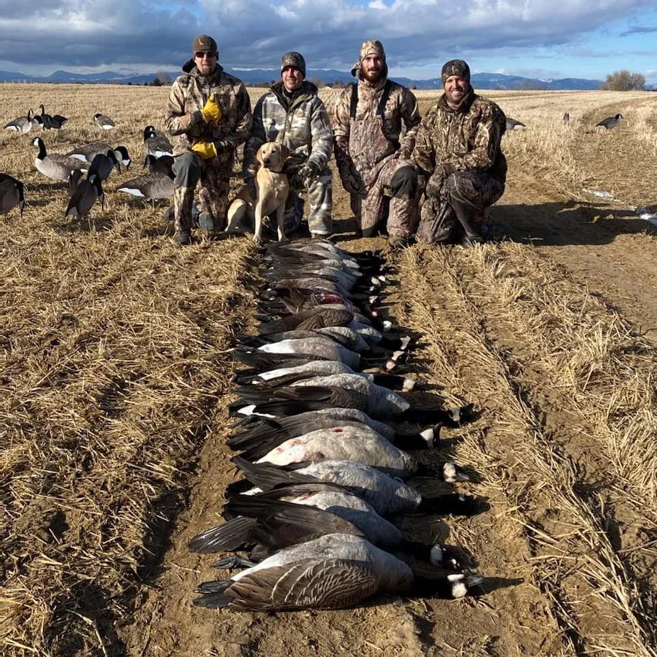 wheatfieldfrontrange