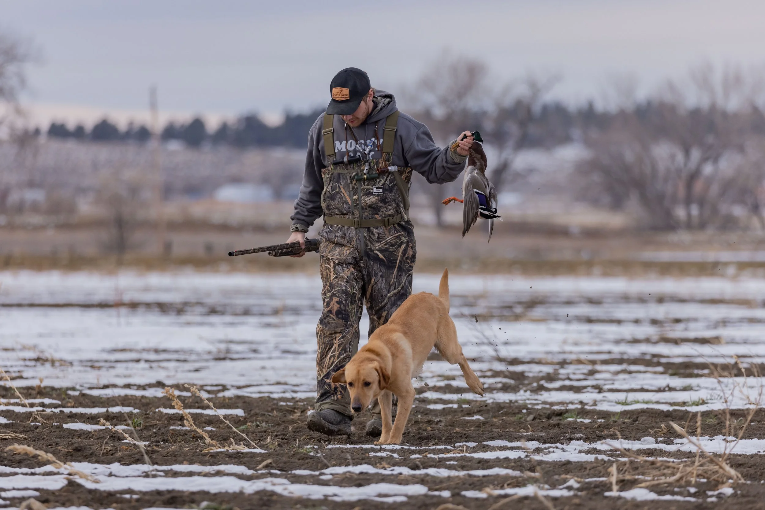 Split Reed Waterfowl