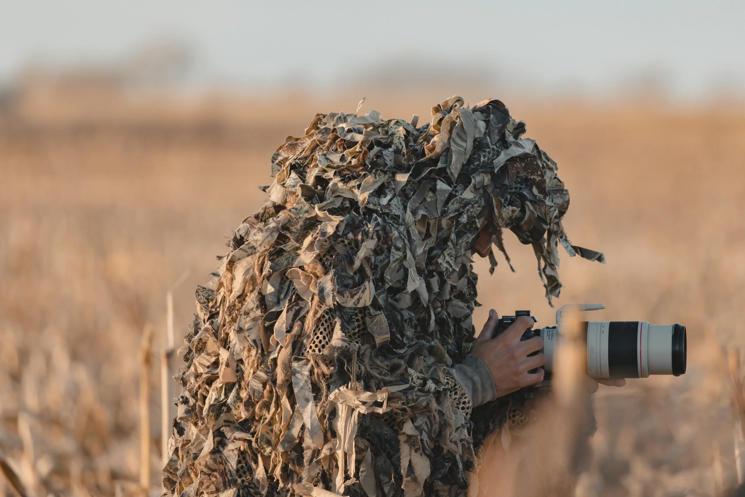 Split Reed Waterfowl