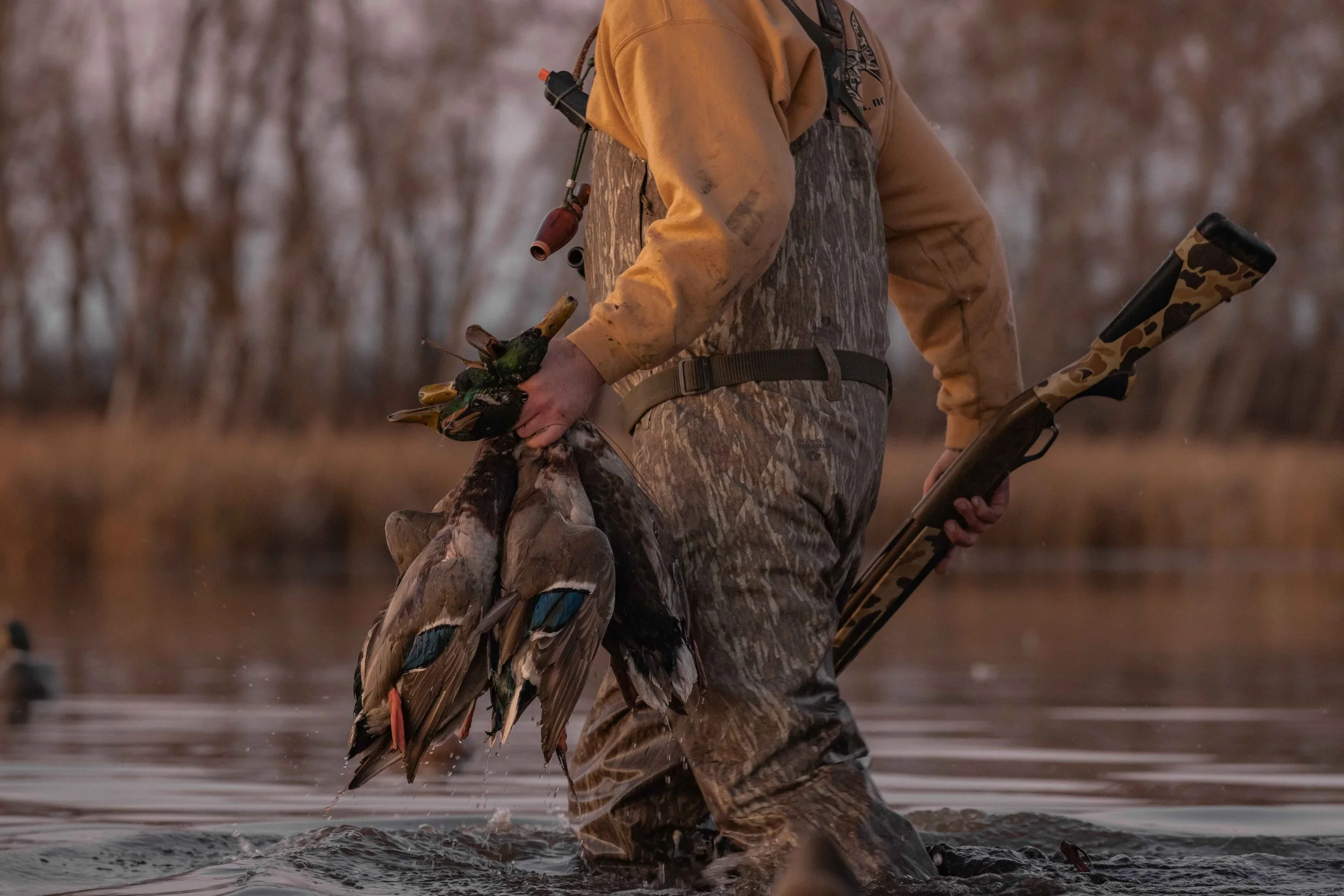 Split Reed Waterfowl