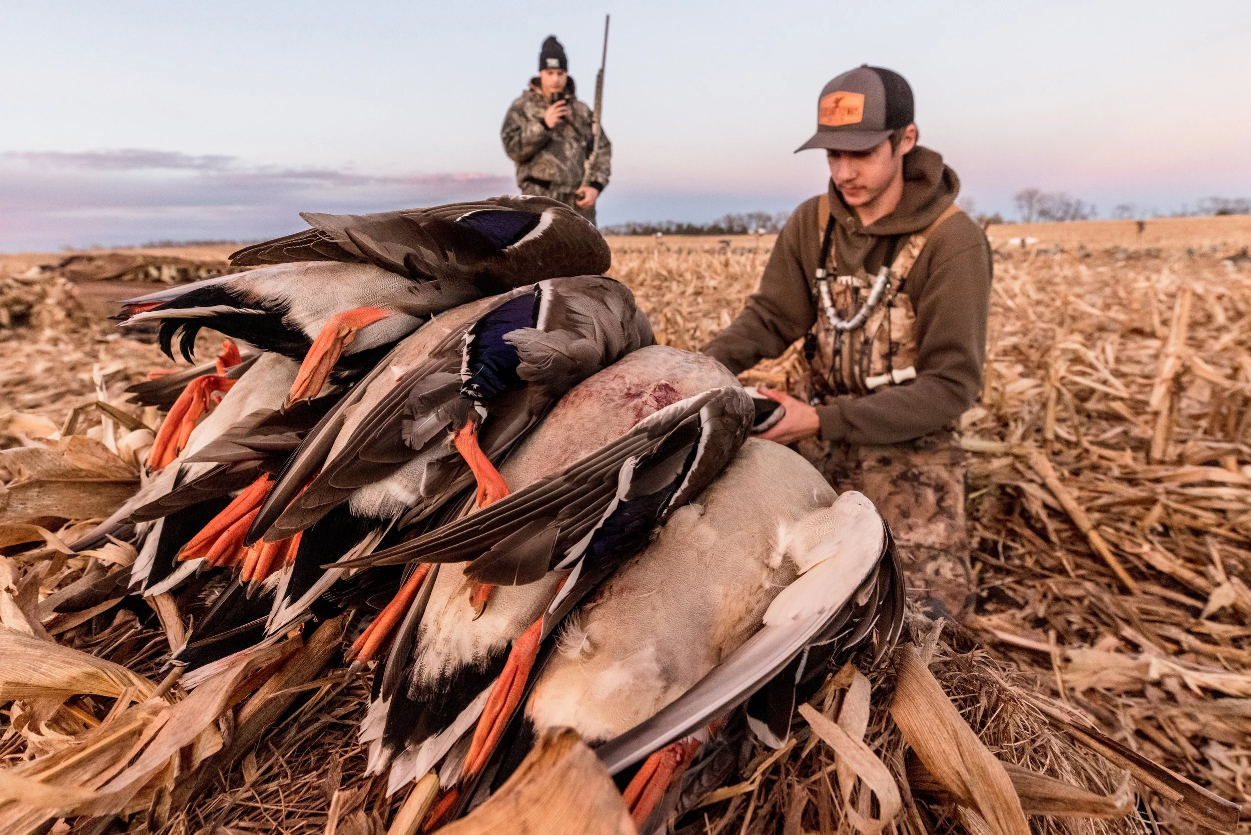 What makes Split Reed Articles any Different? Split Reed