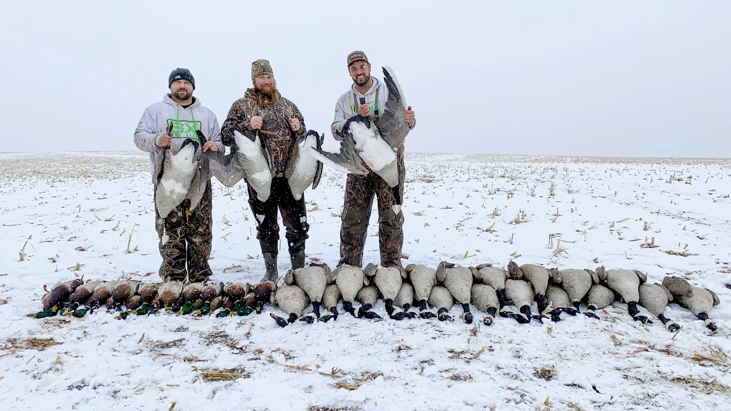 The Hunt for "Quill Lake Geese" Split Reed