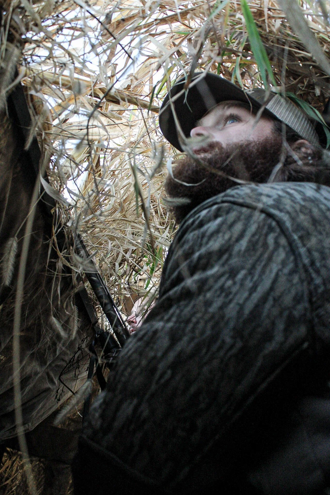 Diving into Adaptive Hunting - Split Reed