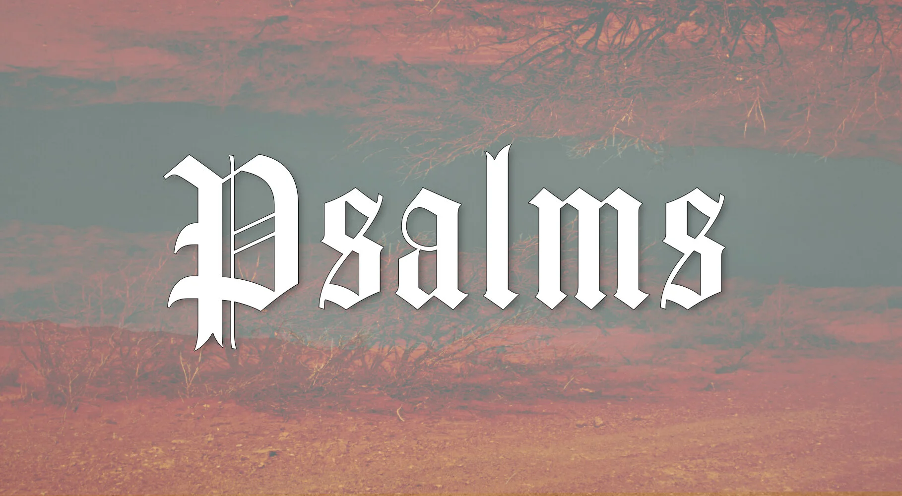 Psalm 8