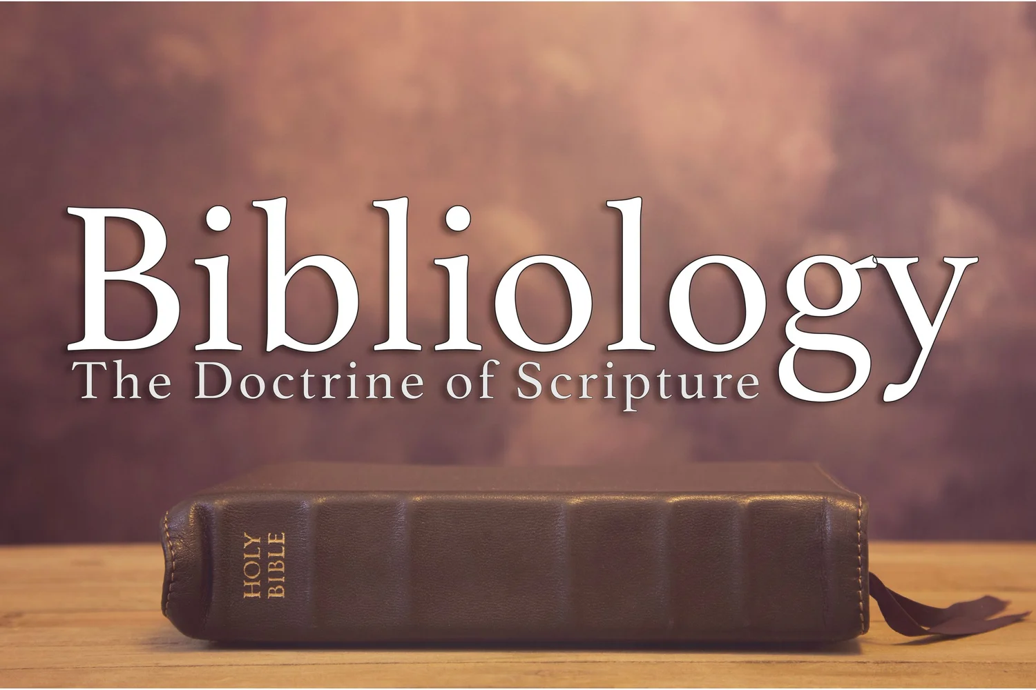 Scripture & History: Translations episode artwork