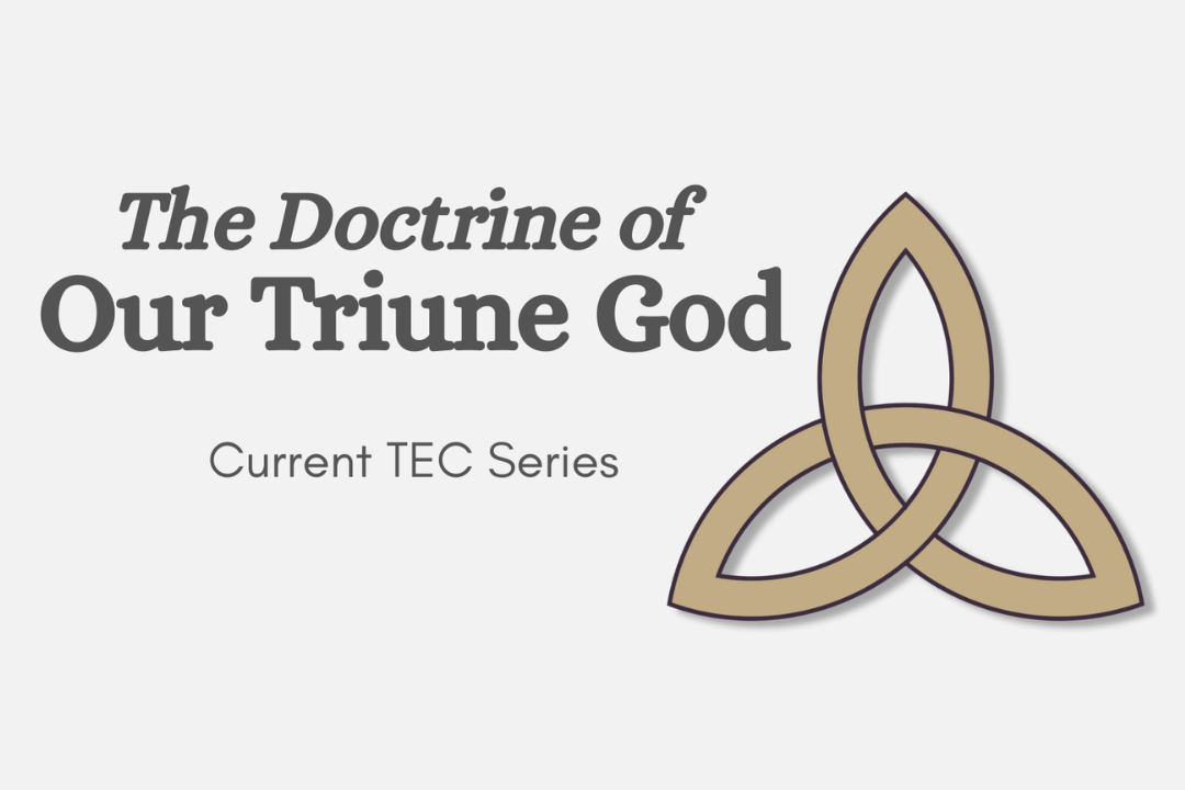 Conceptualizing the Trinity: One God