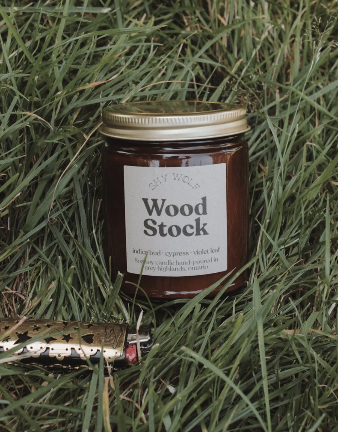 Screenshot 2026-02-19 at 3.01.20 PM.png