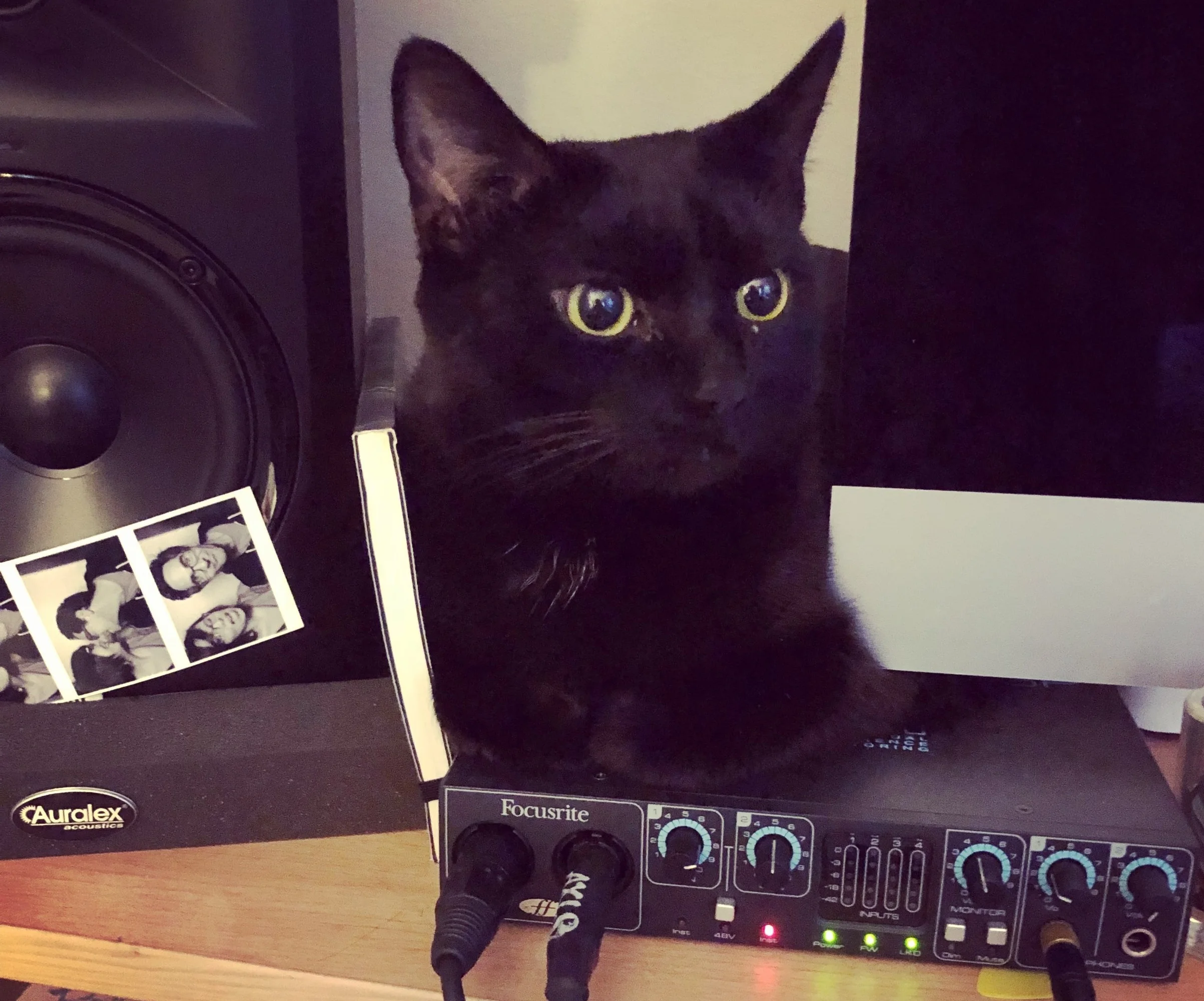 olive+interface.jpg