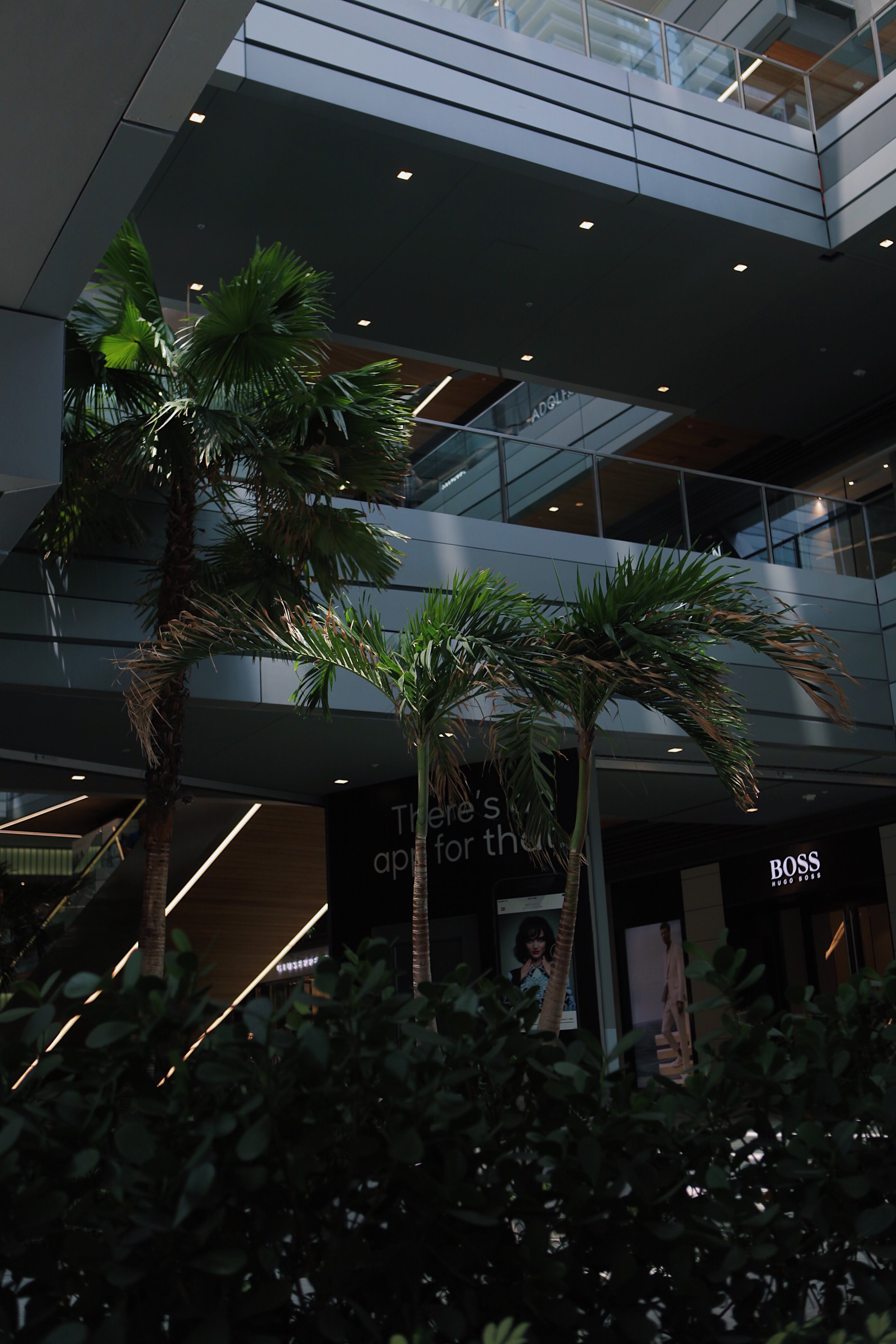 75A7ABE1-575A-45F0-BE21-96517855A5C7.JPG