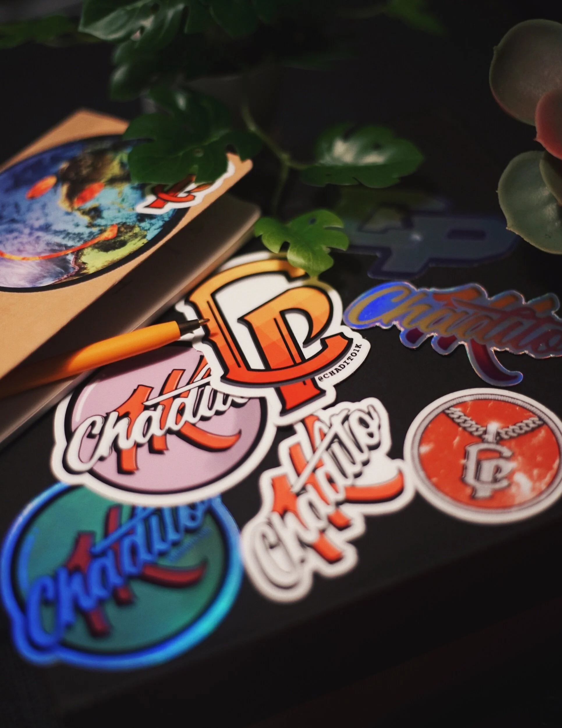 78D53E3E-410D-4887-99F6-6EFCFD2CF18E