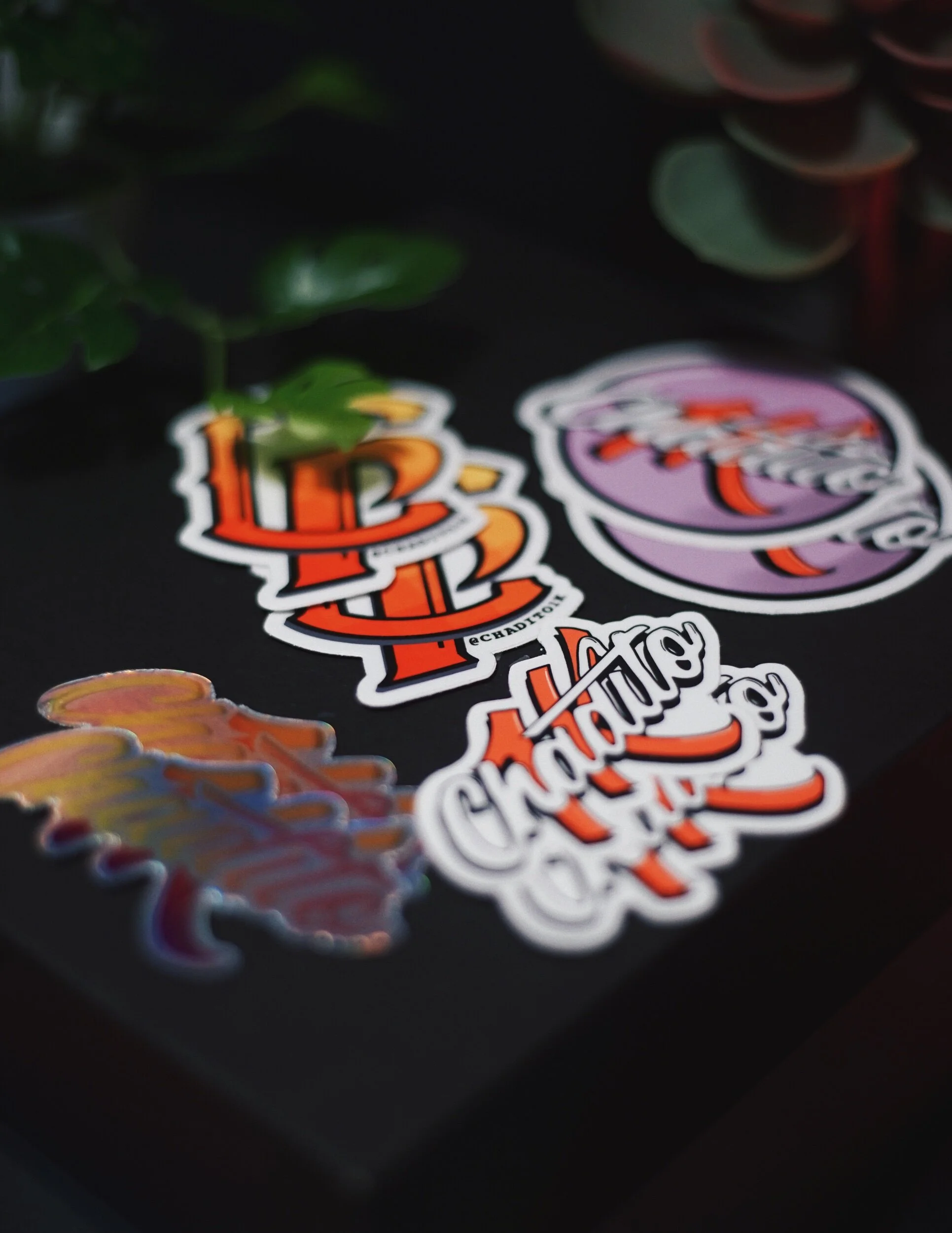 D406A6EC-3EC3-4C53-9133-F3A50A387146