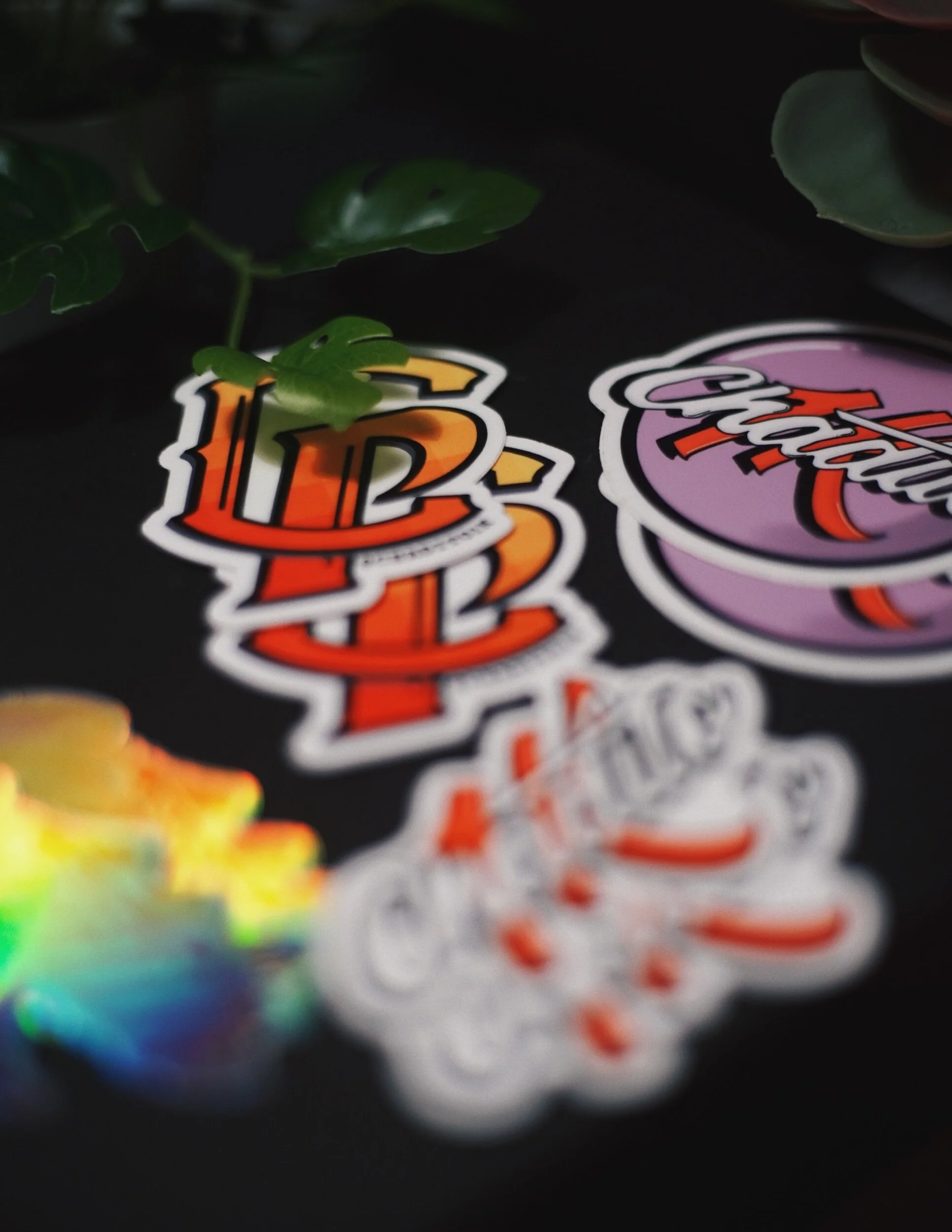 62B1B4B2-7019-42F5-9856-DB9AB752328E