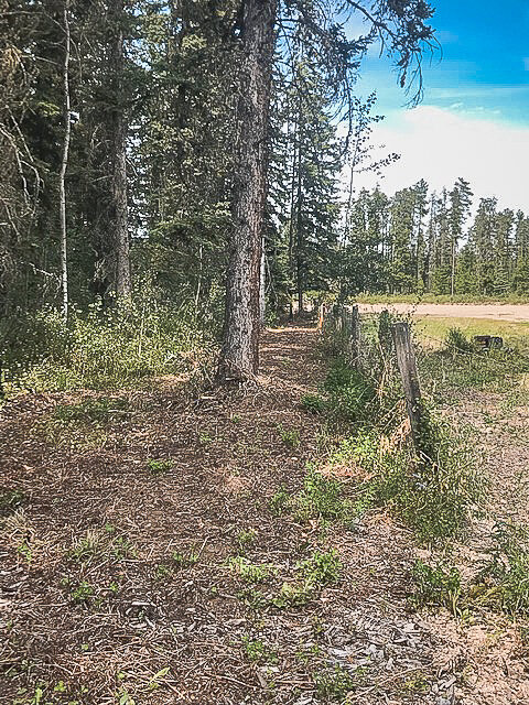 Fenceline Mulching 4.jpg