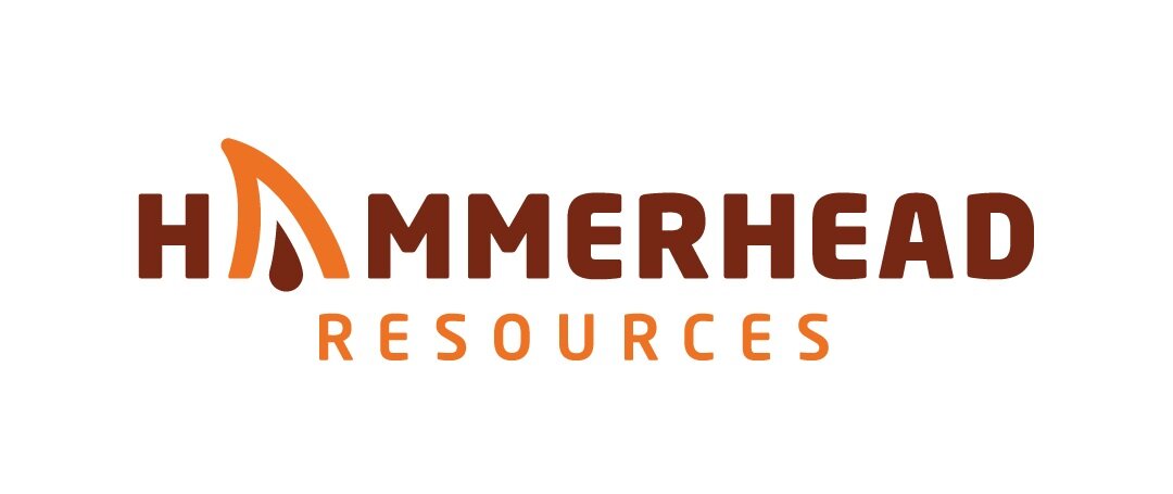 Hammerhead-Logo-Primary-On-White.jpg