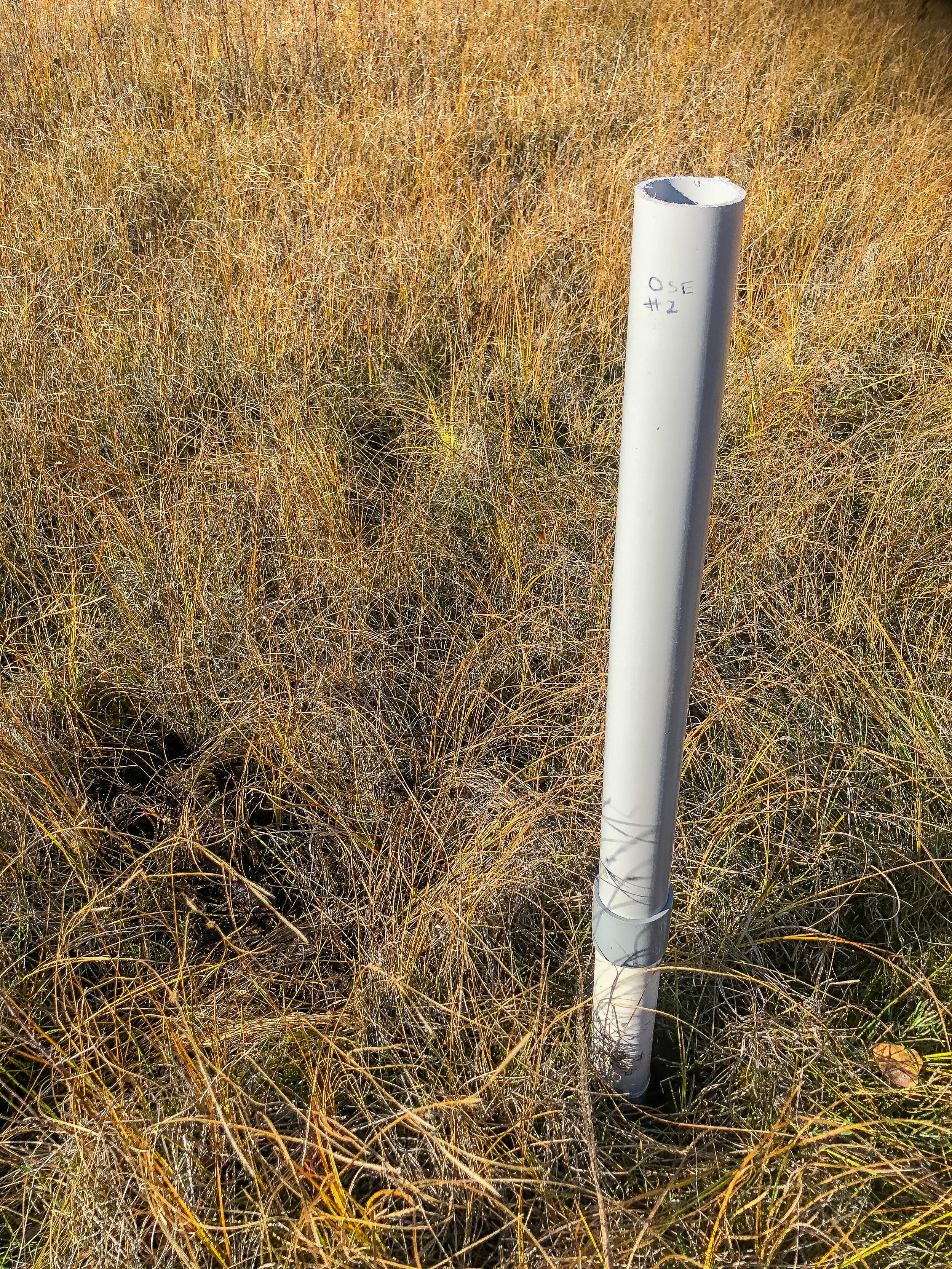 One of 16 monitoring wells installed at Evergreen Park in October 2020. 