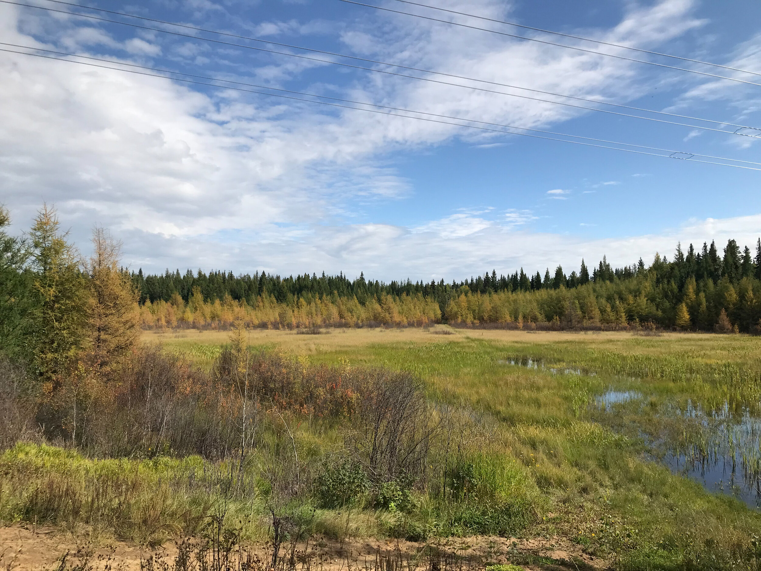 wetland park virtual tour