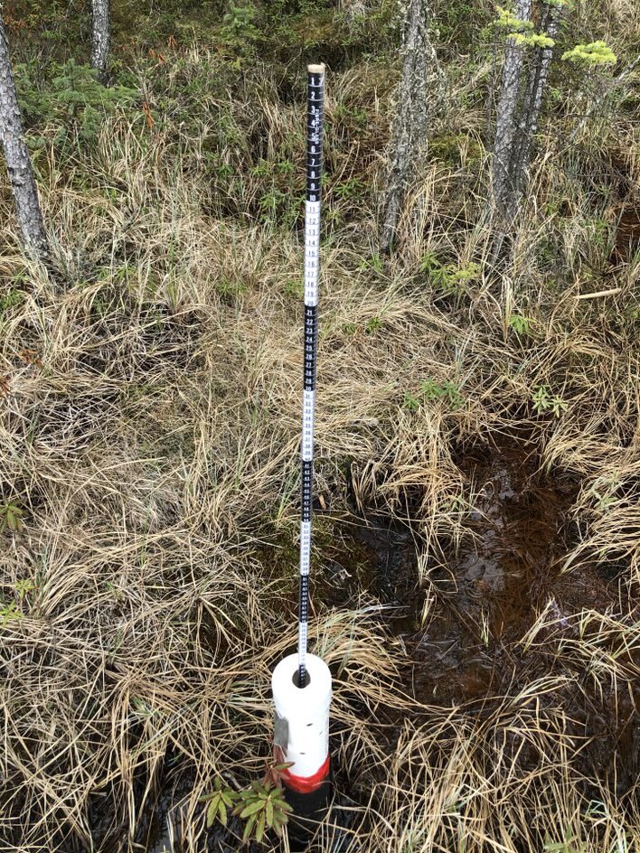 This well is located along the trail (ID SW1), in a conifer swamp