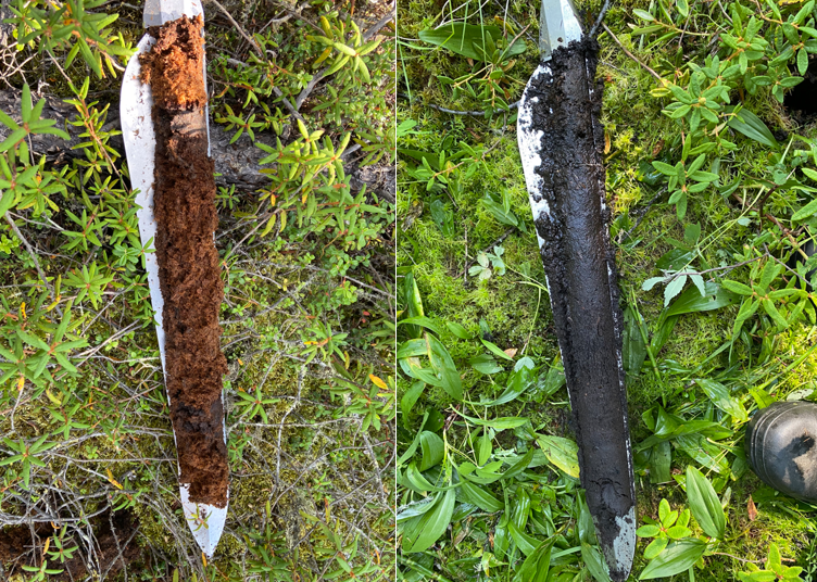 Digging Discovery: How Organic Material Accumulation is used to Classify Wetlands at the Wetland Centre