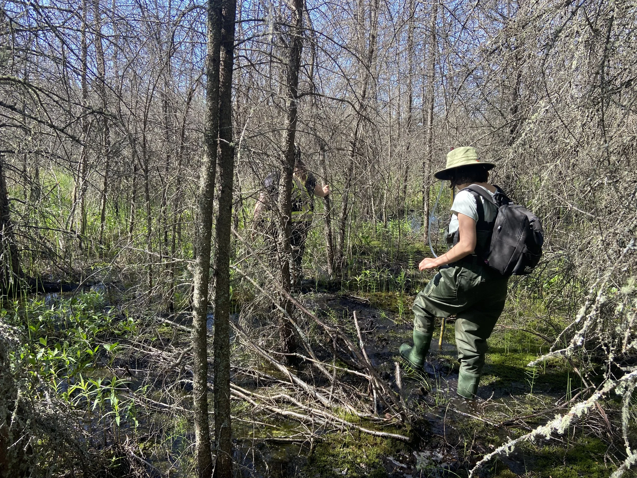Wetland Center Event Update