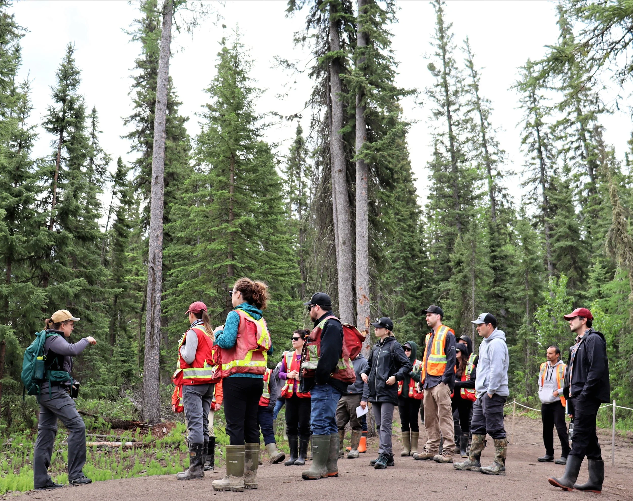 Programming banner.jpg