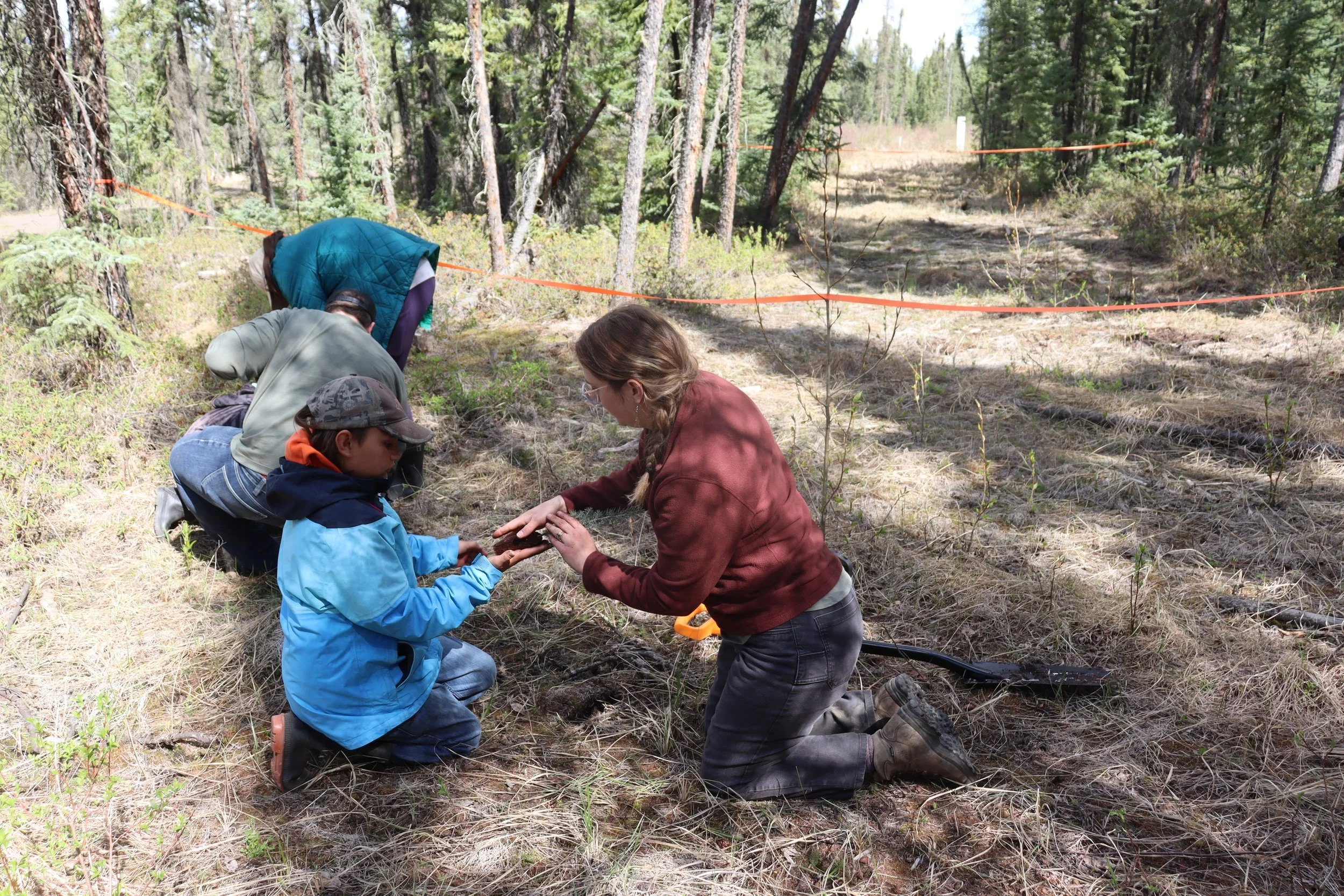 Braiding Knowledge Through Youth Land-Based Learning at the Boreal Wetland Centre