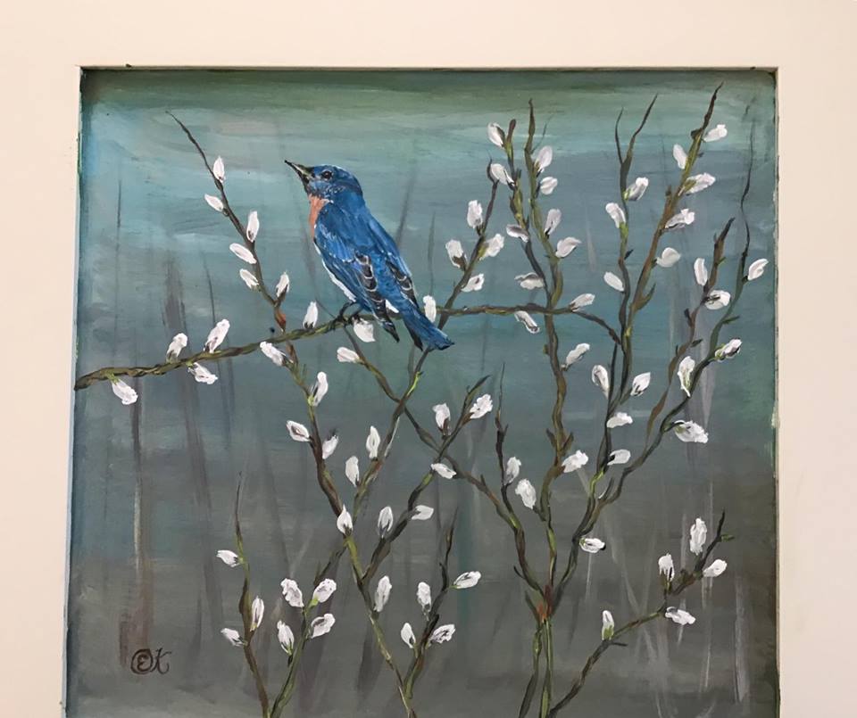 .bluebirds and pussy willows.jpg