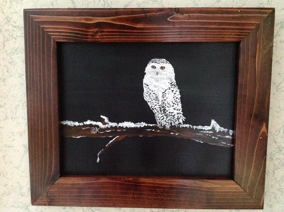 owl.jpg