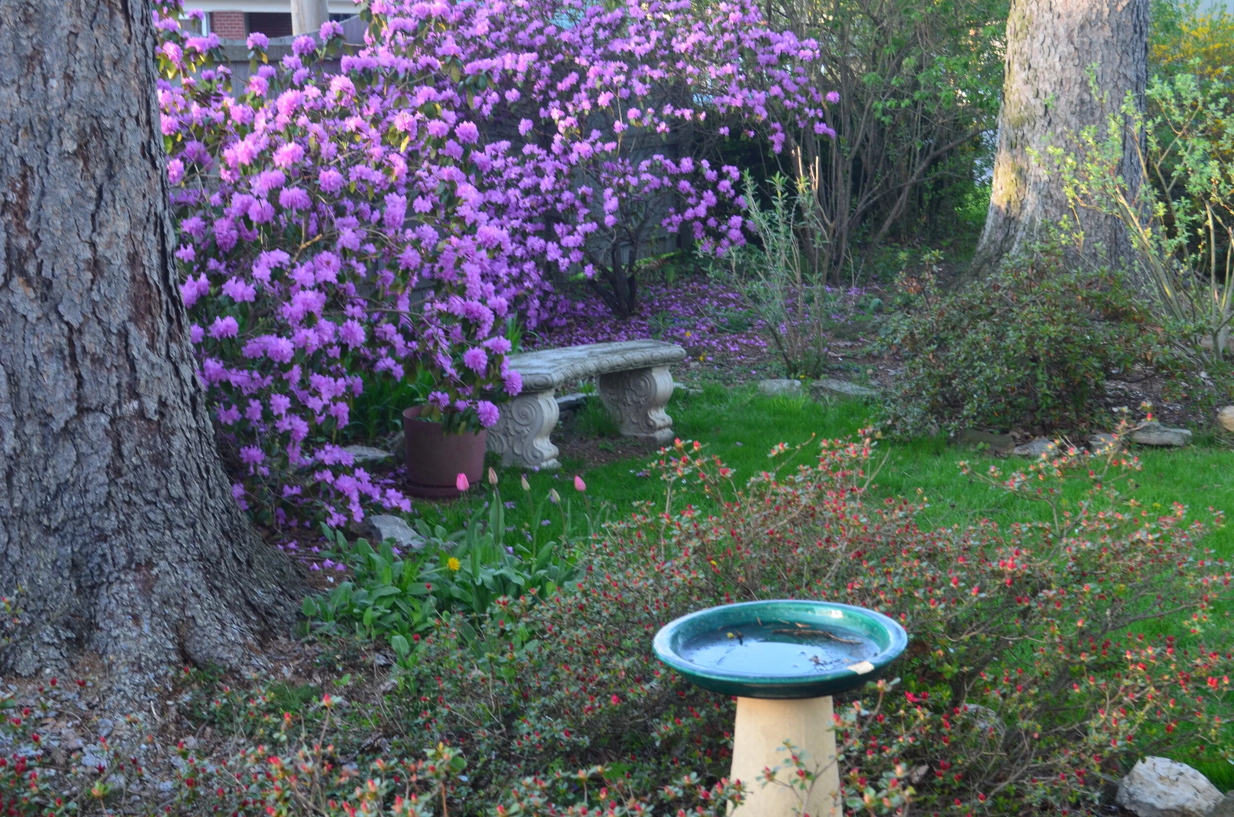 DSC_0308.JPG