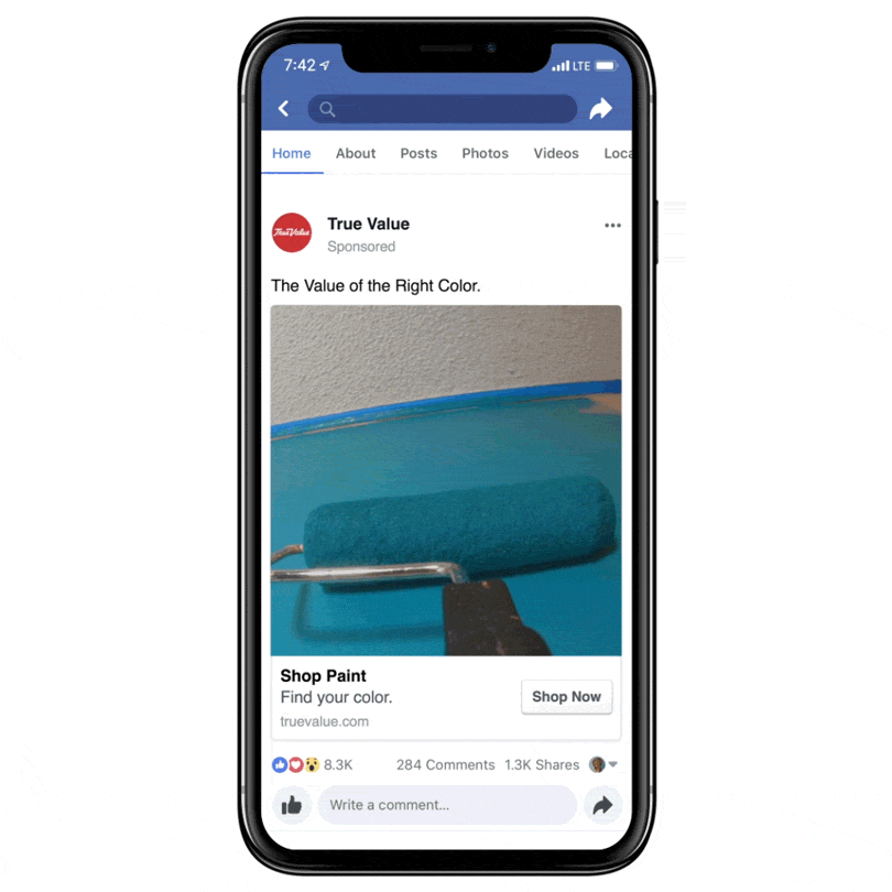 TrueValue_Paint_PhoneMockup_V1.gif