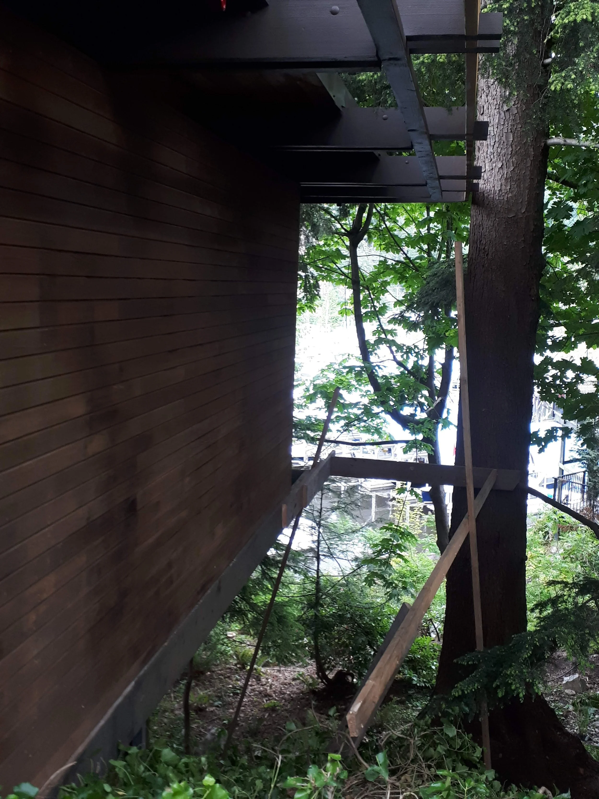20180601_141520.jpg