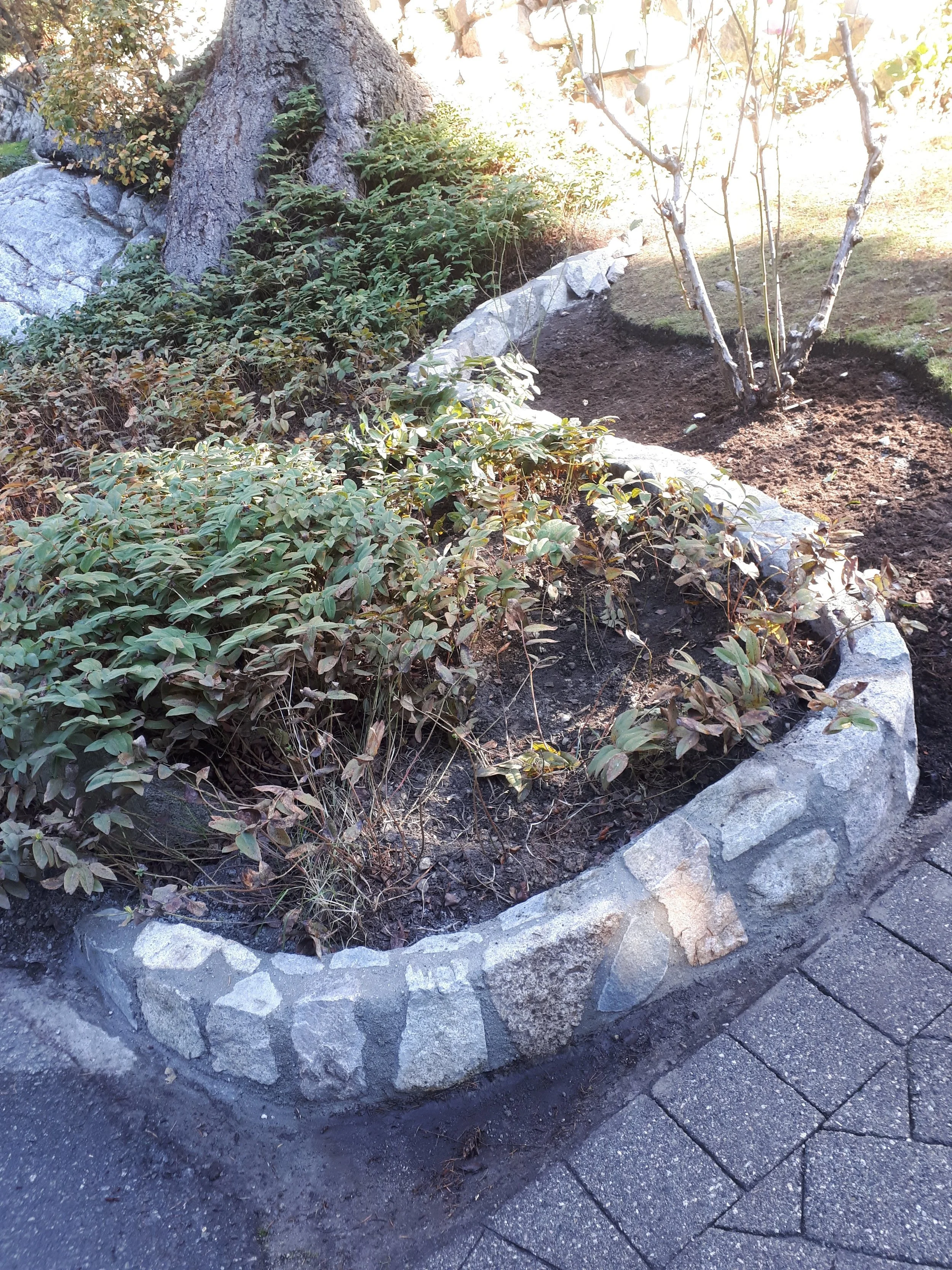 20180928_162344.jpg
