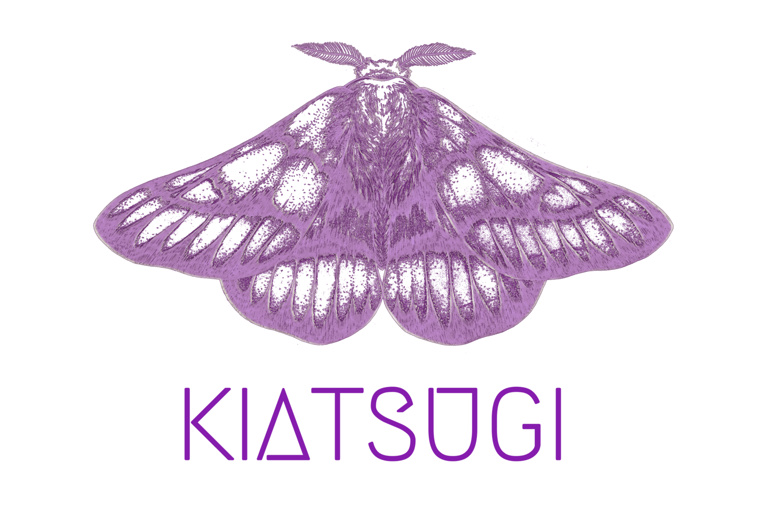 Kiatsugi Consciousness & learning