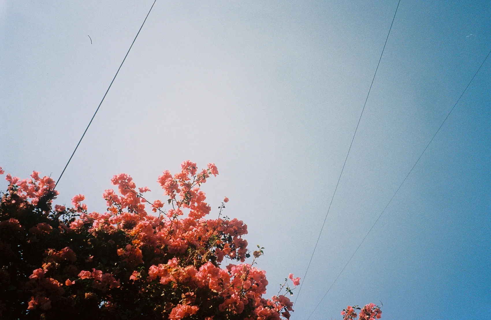 39650R5-R01-011 copy.Jpg