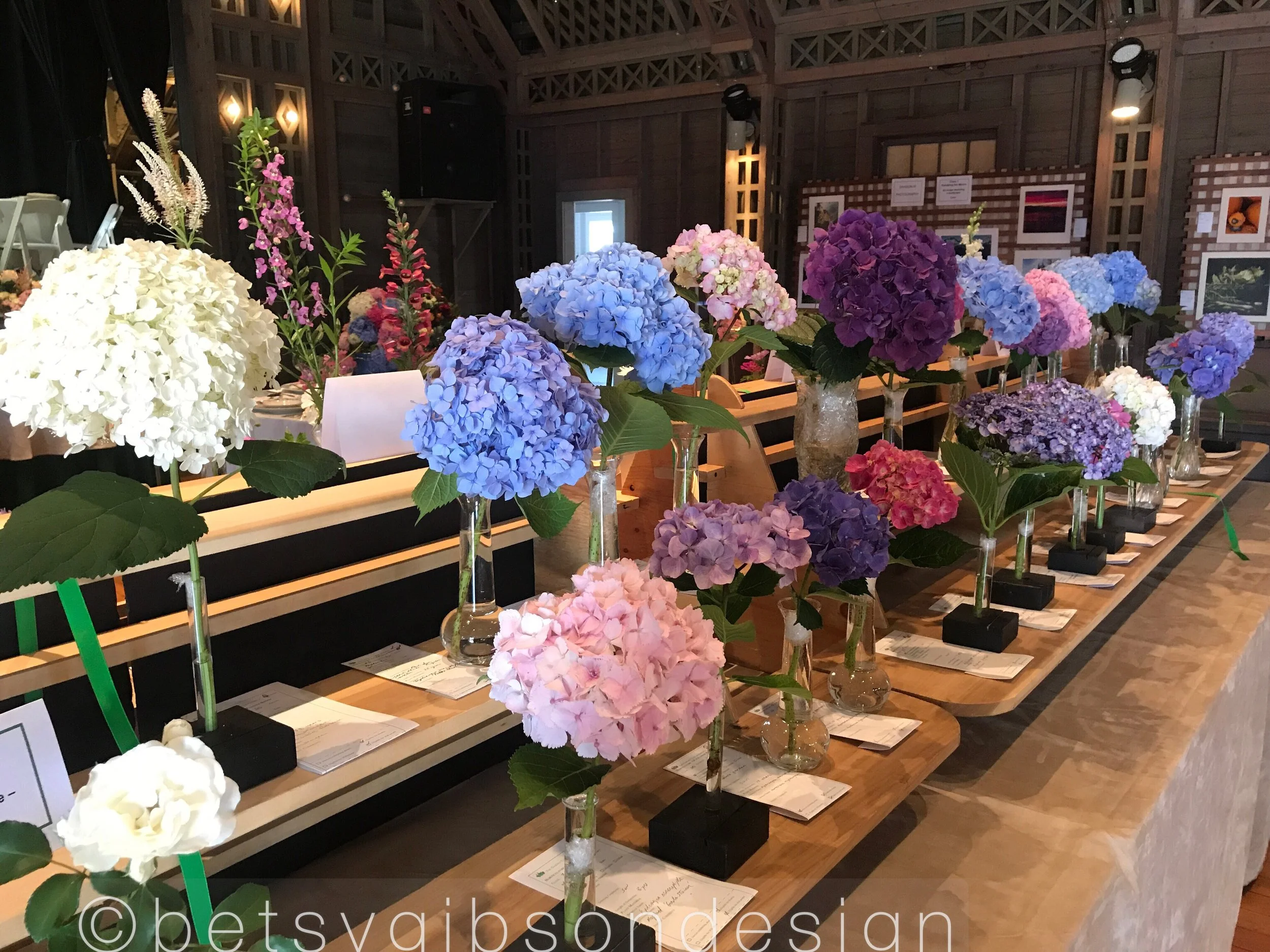 Watermarked1682017-07-20-2324.jpg