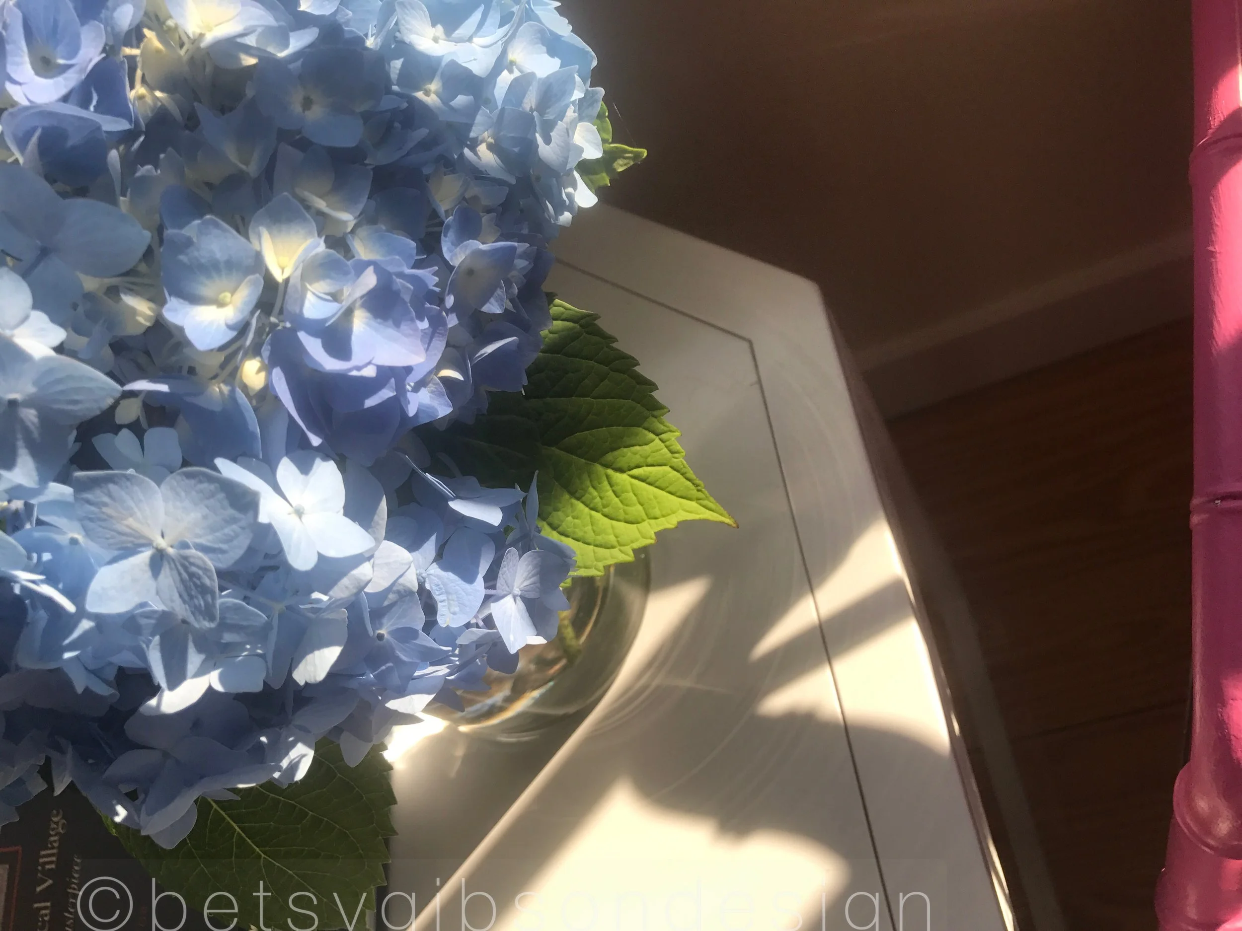 Watermarked192017-07-08-1945.jpg